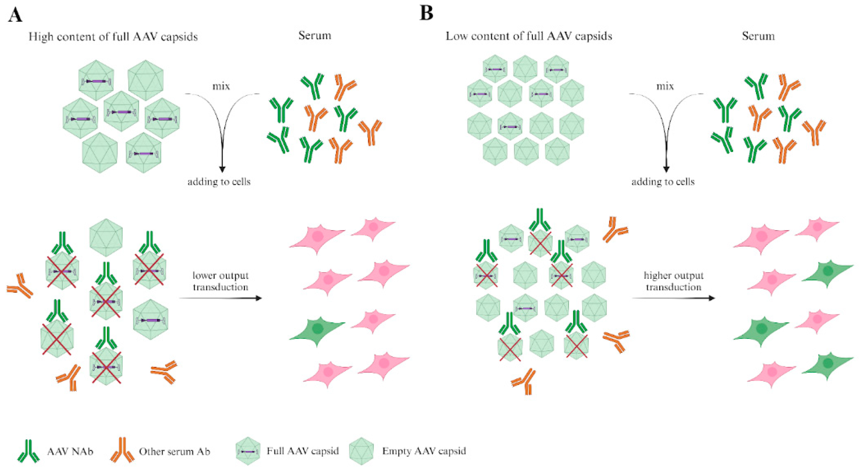 Preprints 142304 g002