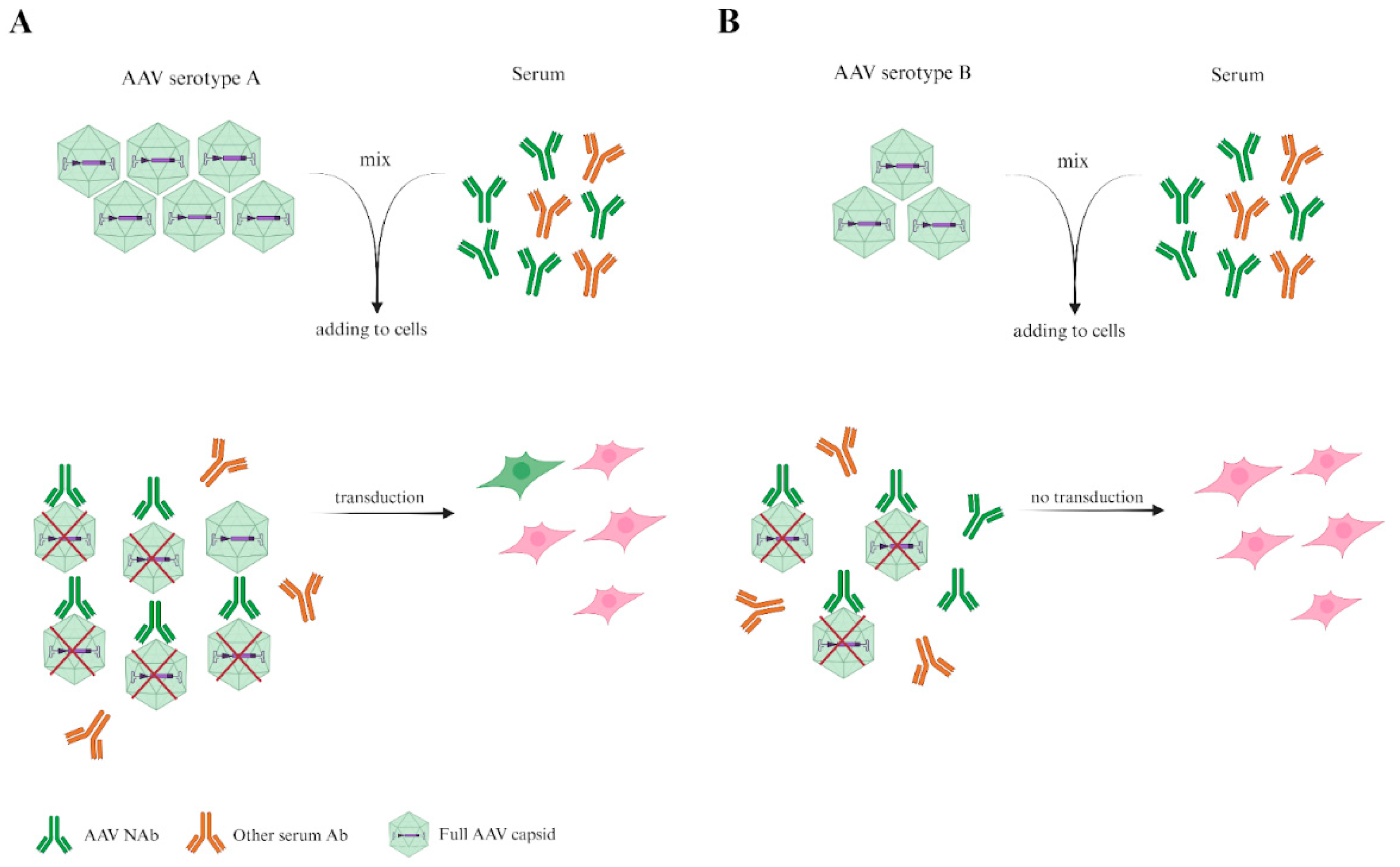Preprints 142304 g003