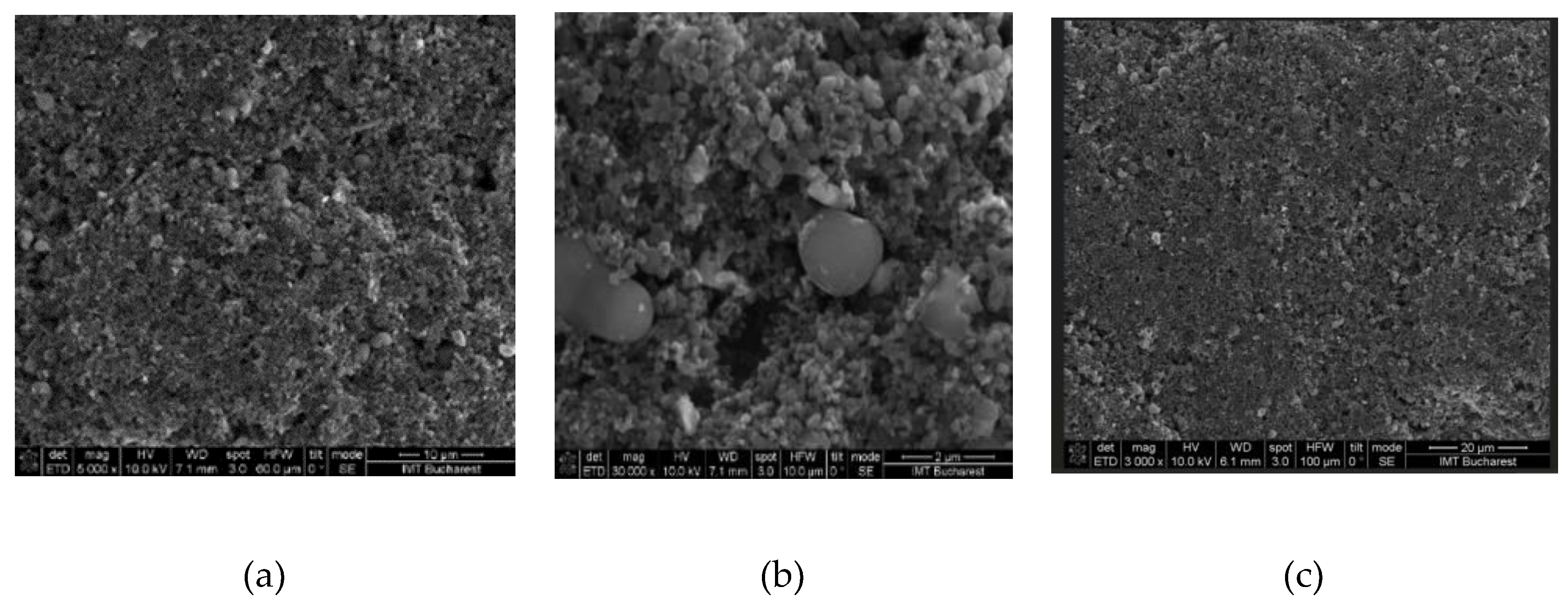 Preprints 155377 g004