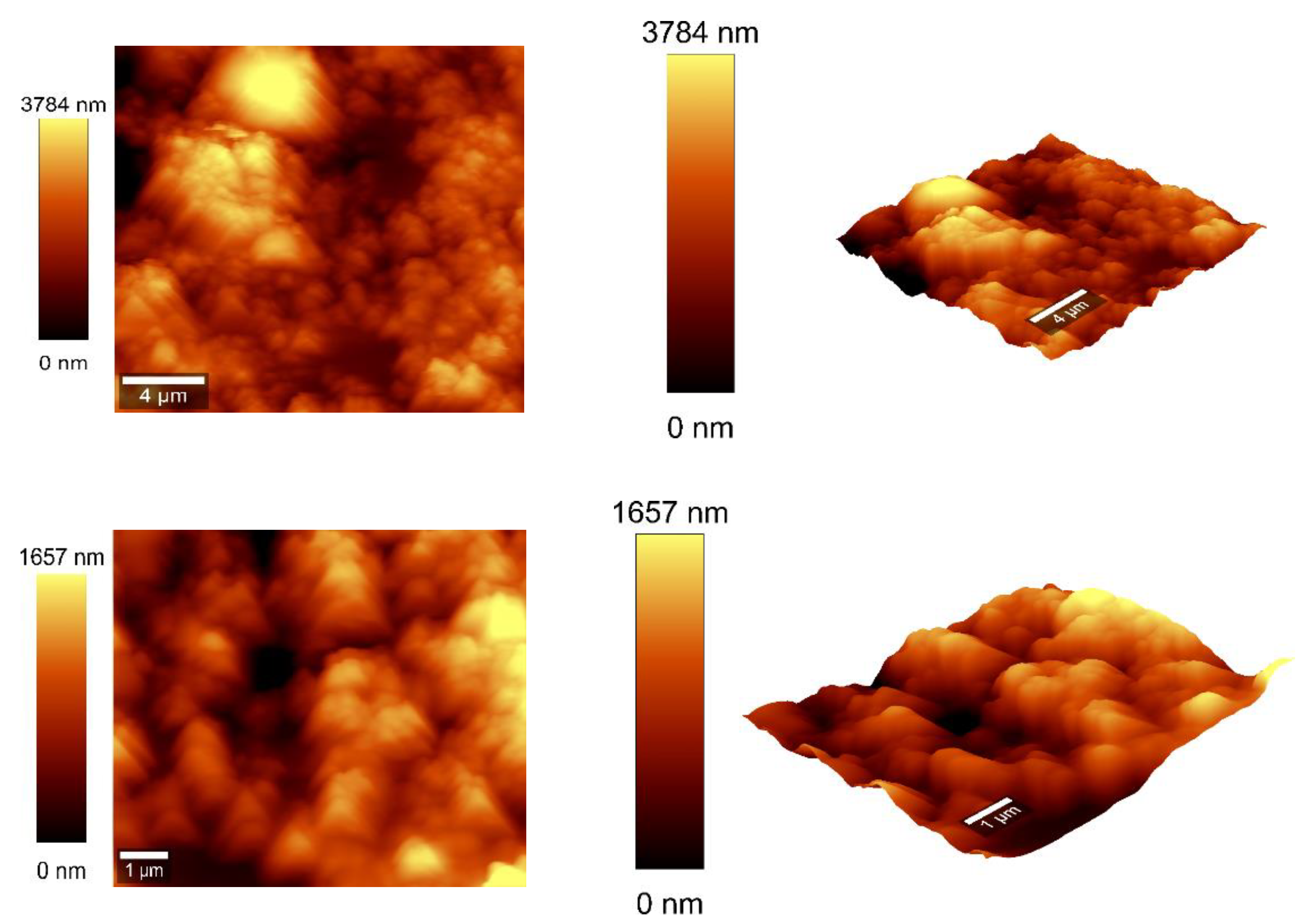 Preprints 155377 g008