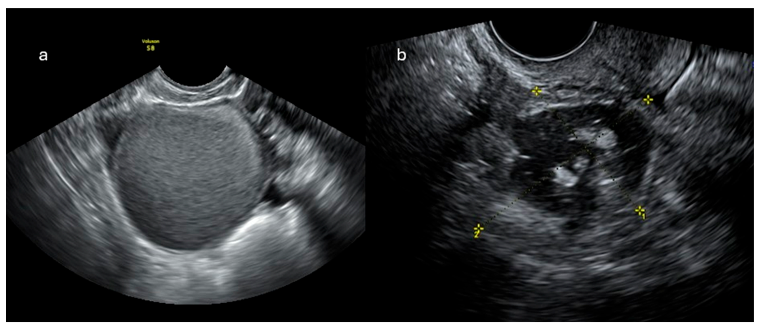 Preprints 175860 g001
