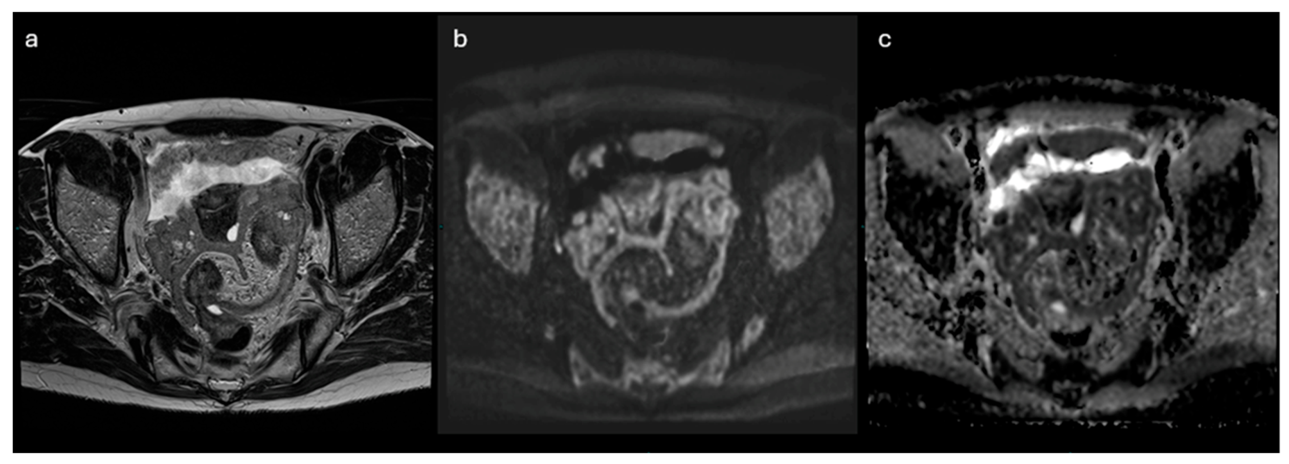 Preprints 175860 g006
