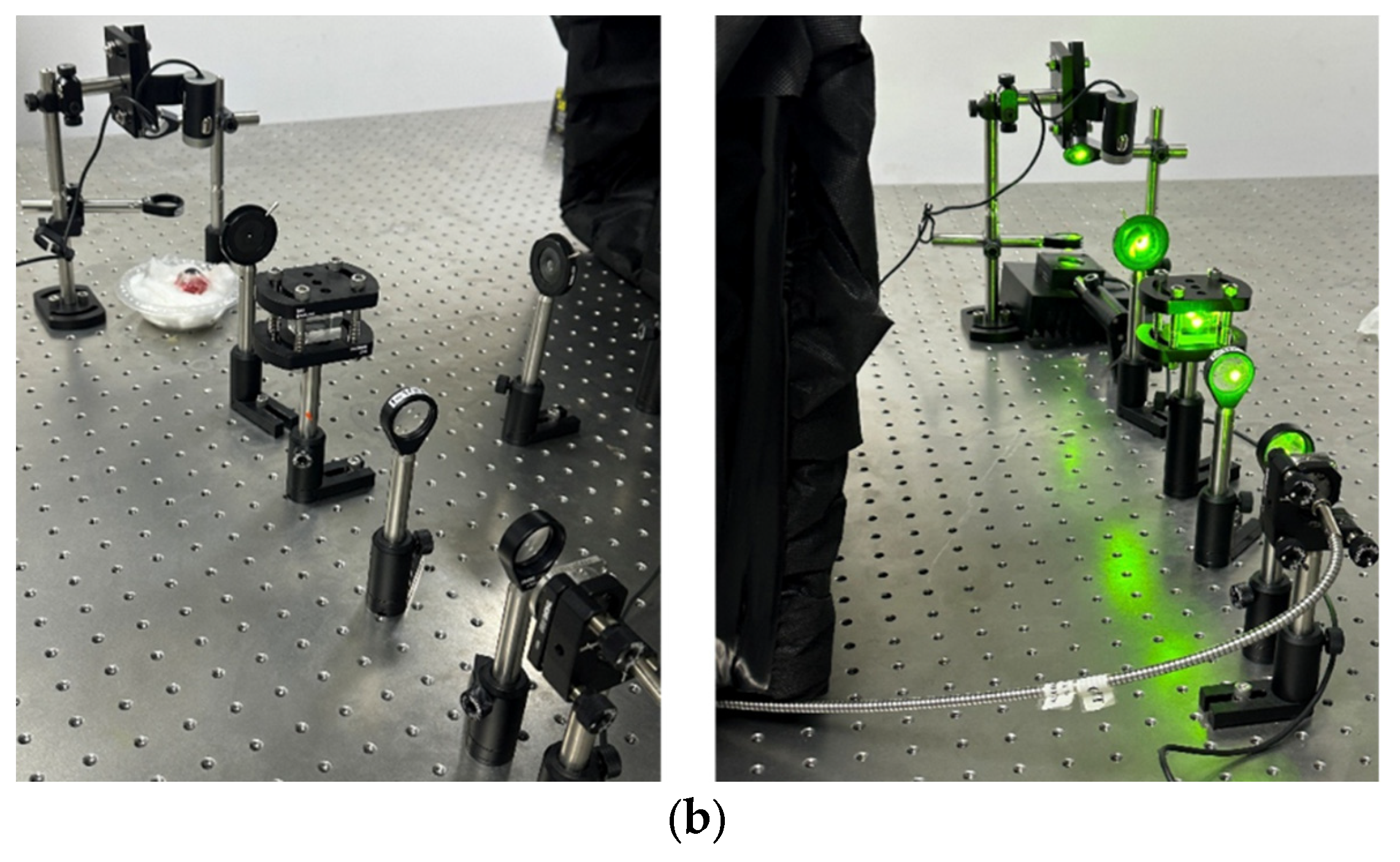 Preprints 170224 g001b