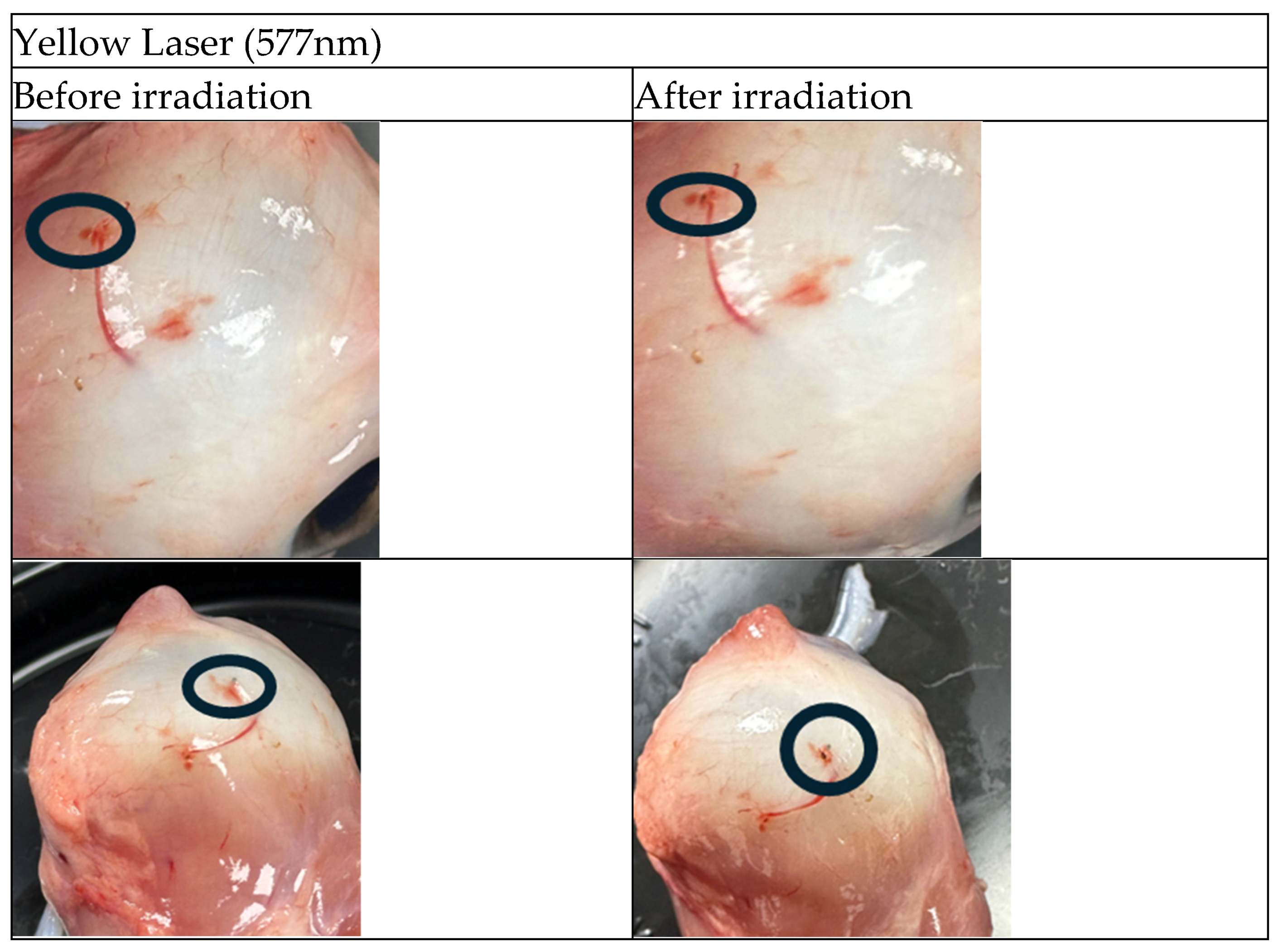Preprints 170224 g003a
