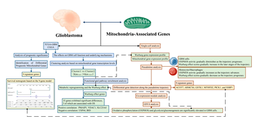 Preprints 156636 i001