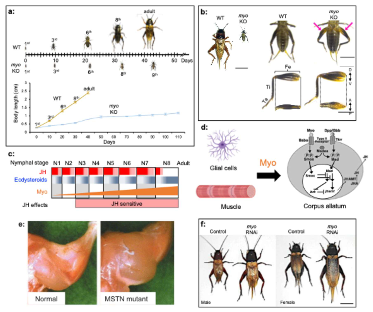 Preprints 220810 g001 Preprints 220810 g001