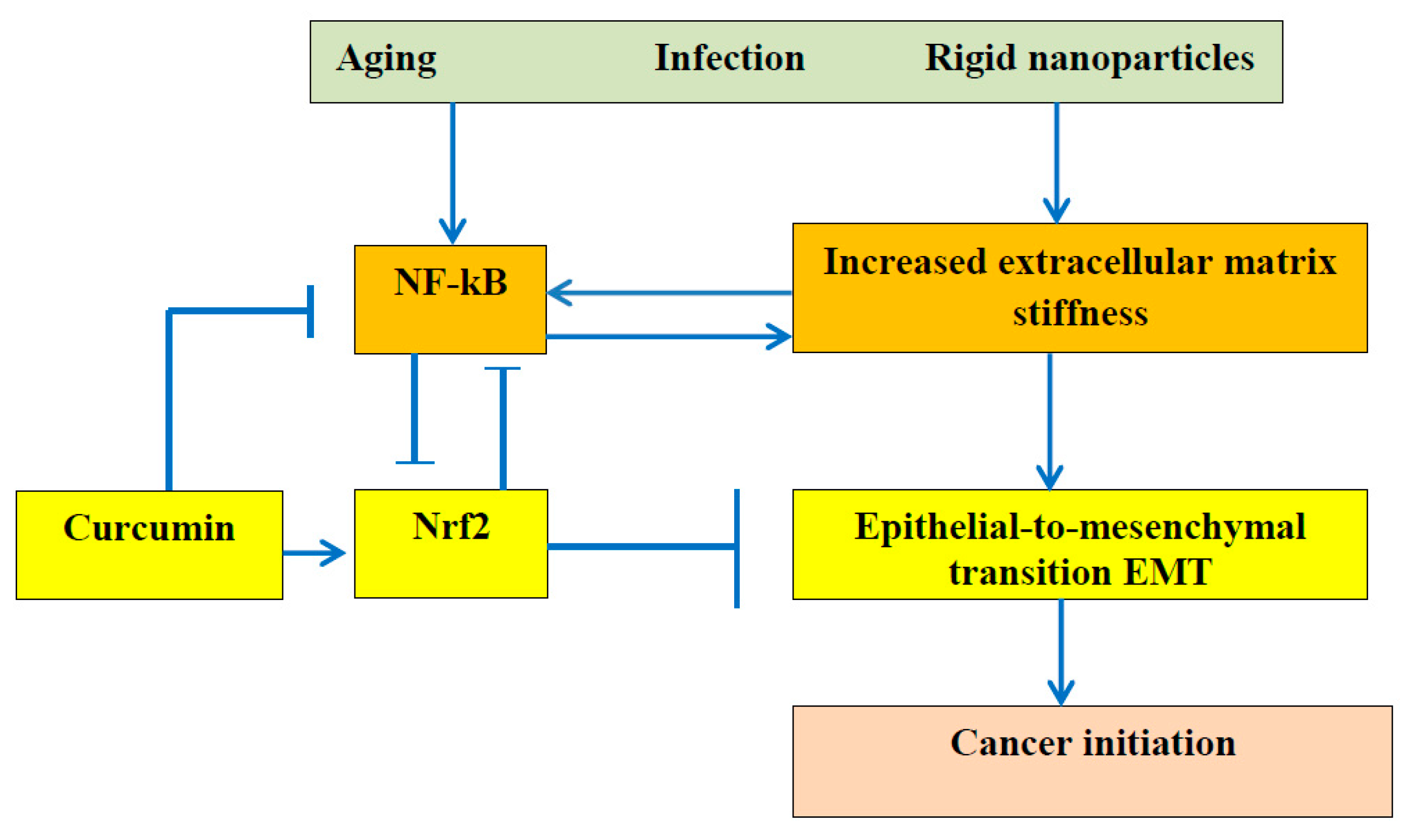 Preprints 83018 g002