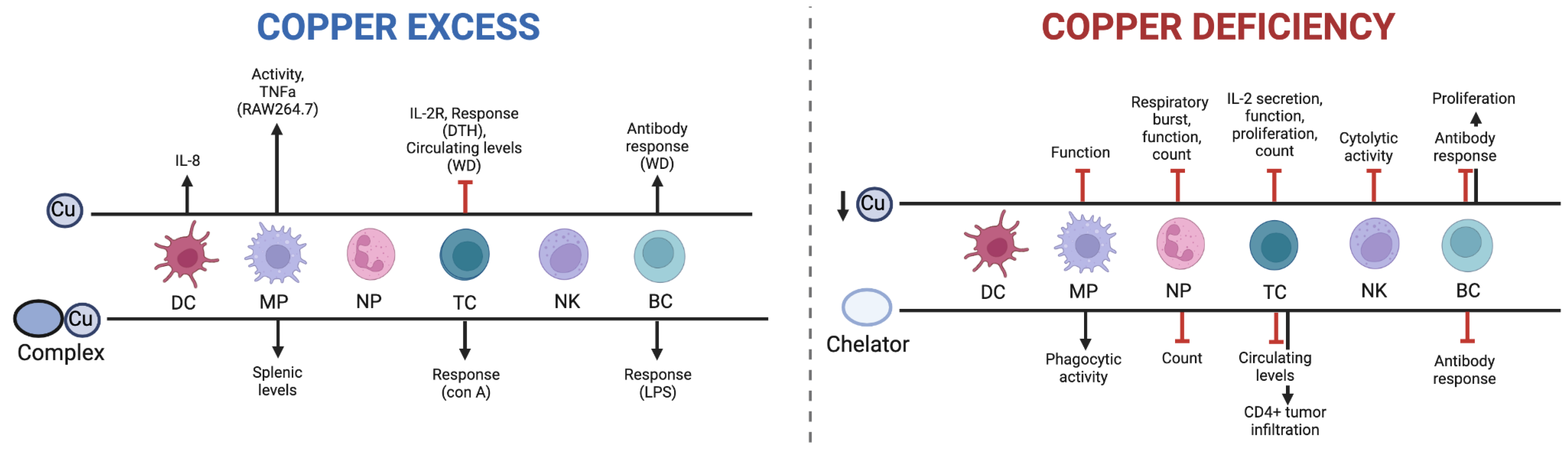 Preprints 185736 g001