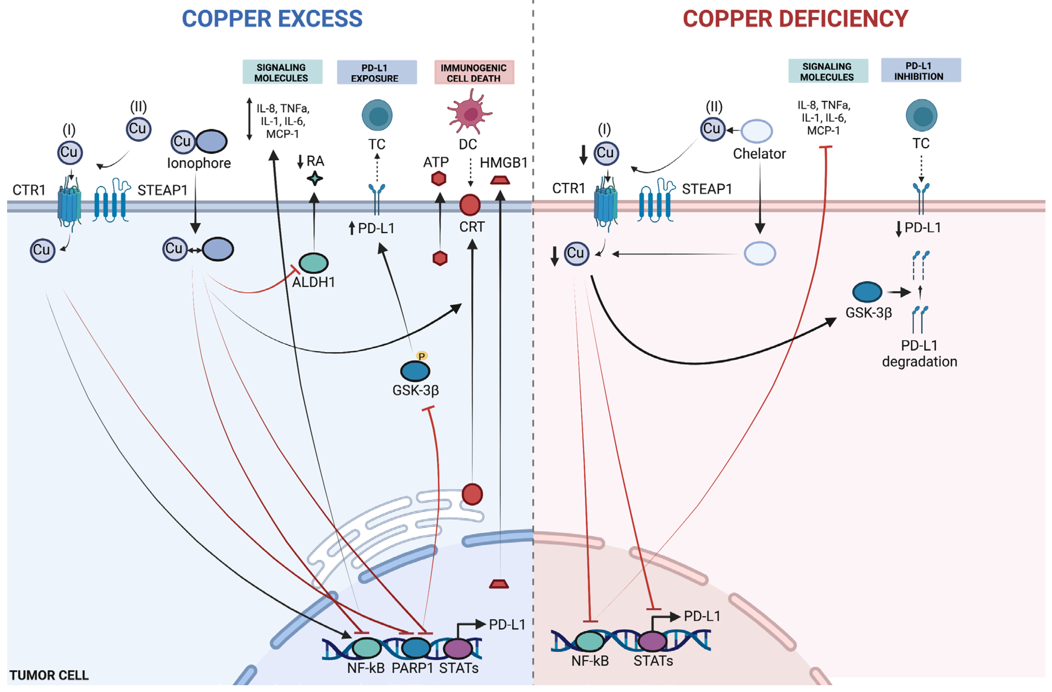 Preprints 185736 g002