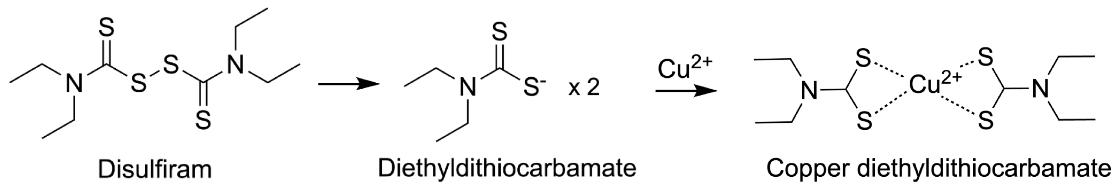 Preprints 185736 g003
