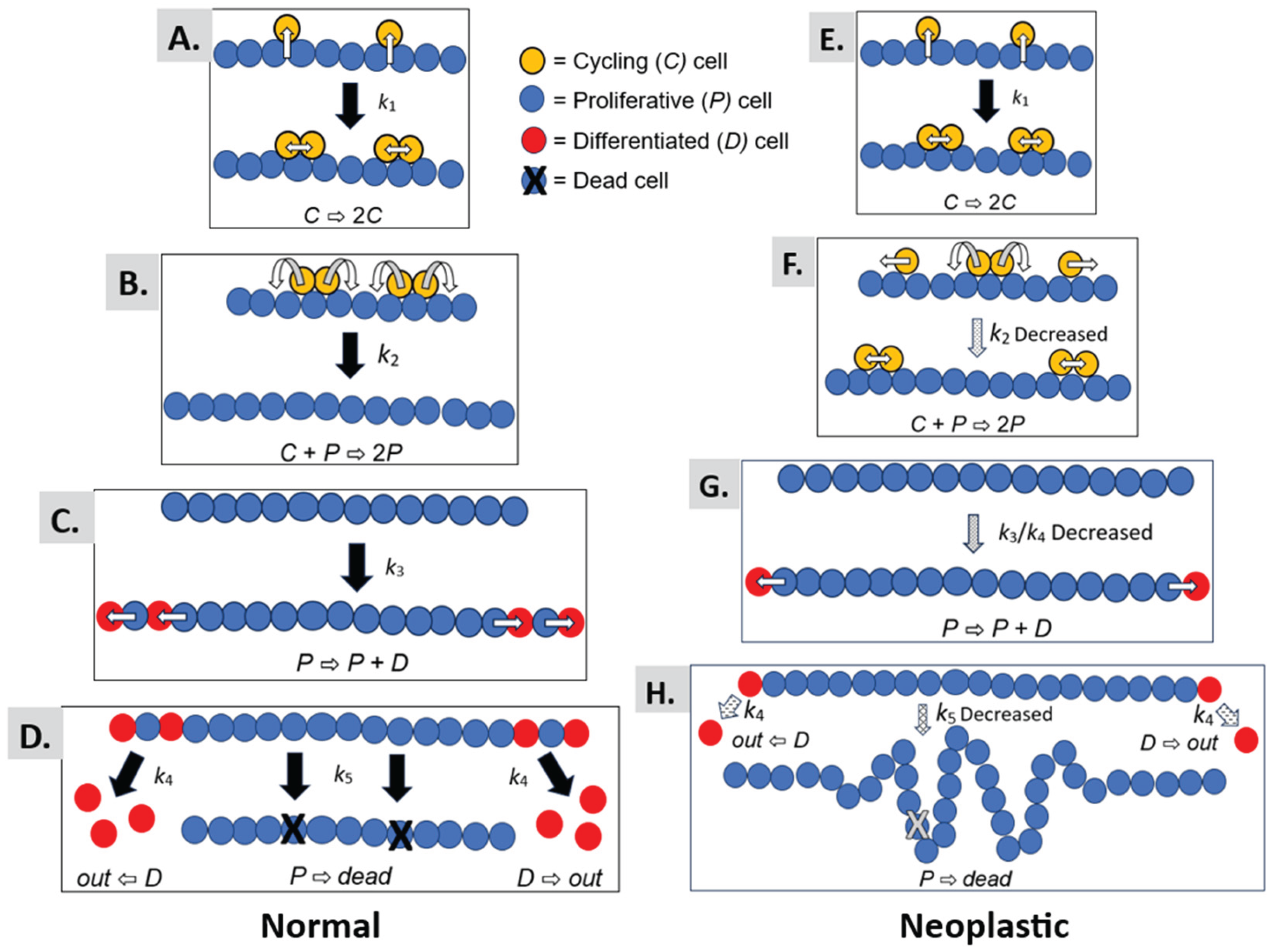 Preprints 185674 g005