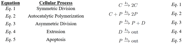 Preprints 185674 i001