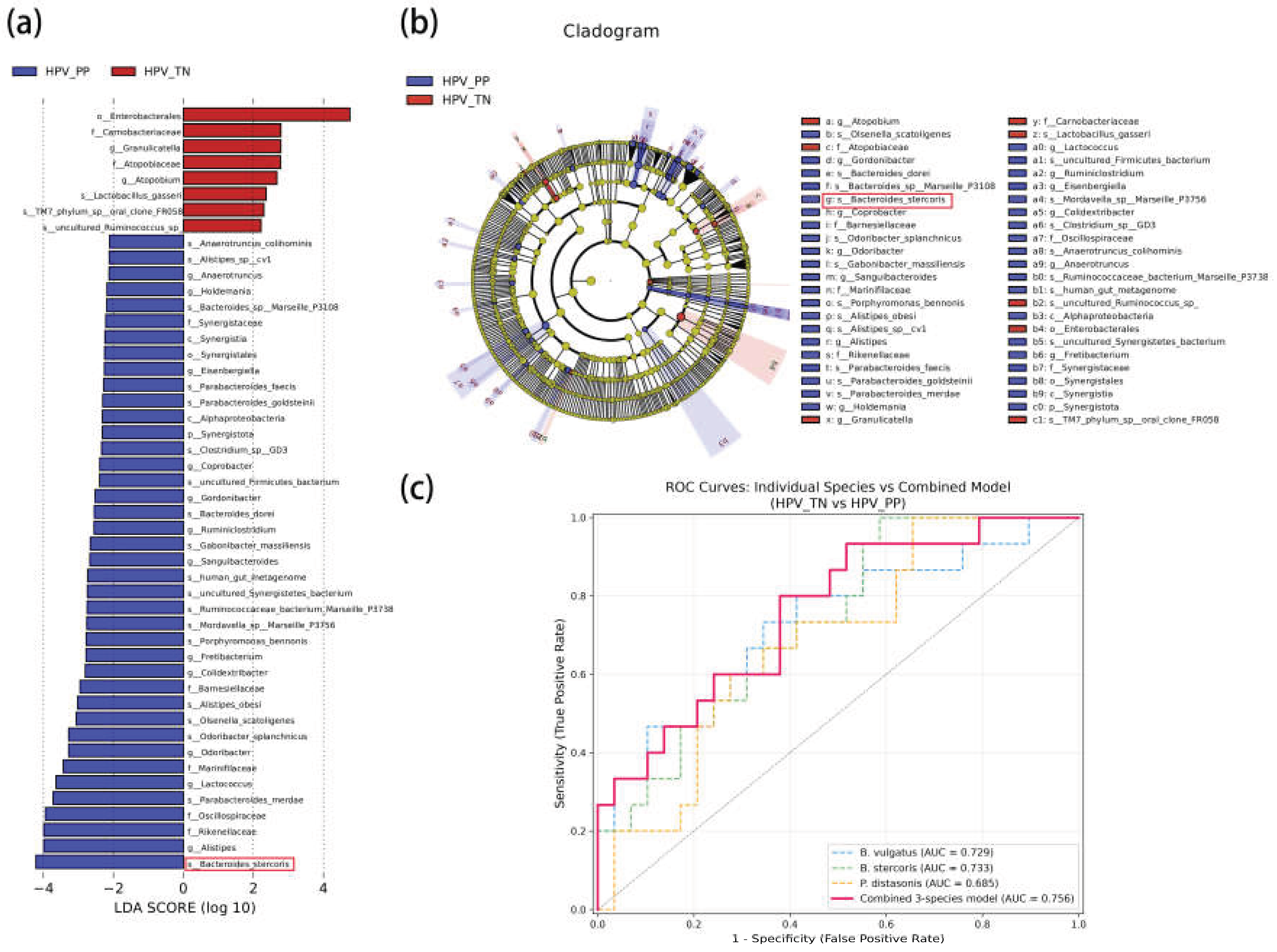 Preprints 227023 g004 Preprints 227023 g004