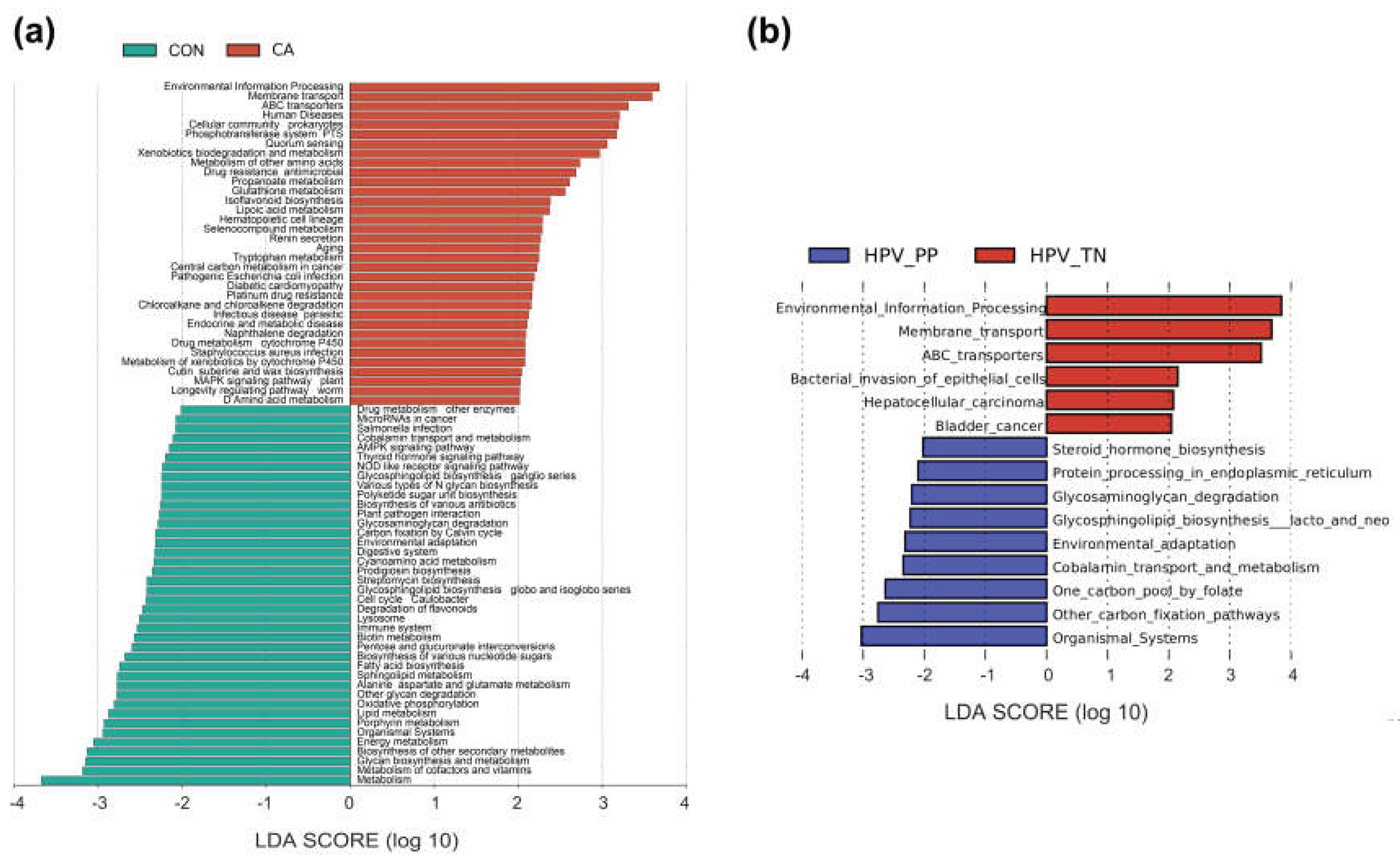 Preprints 227023 g006 Preprints 227023 g006