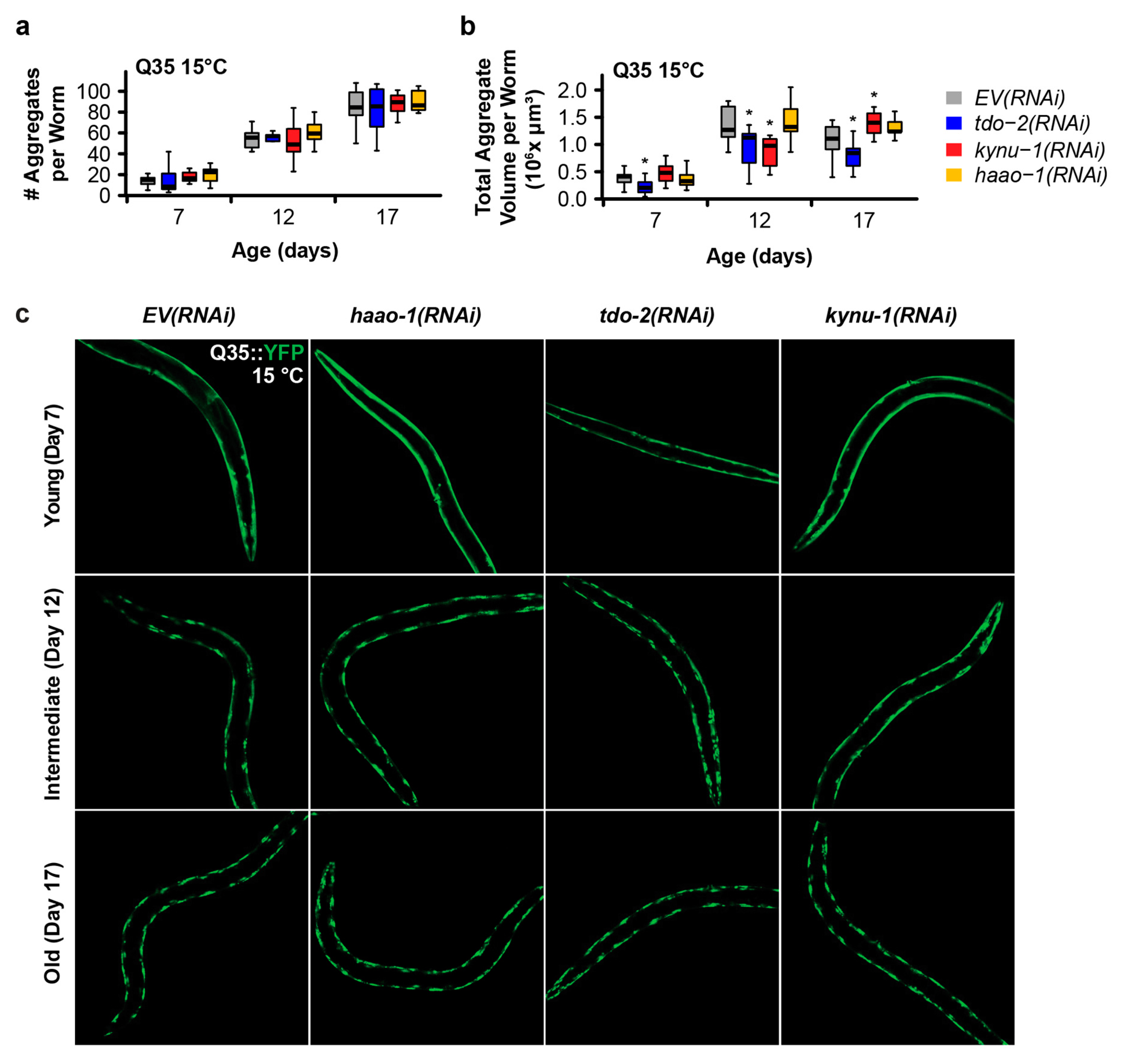Preprints 105360 g002
