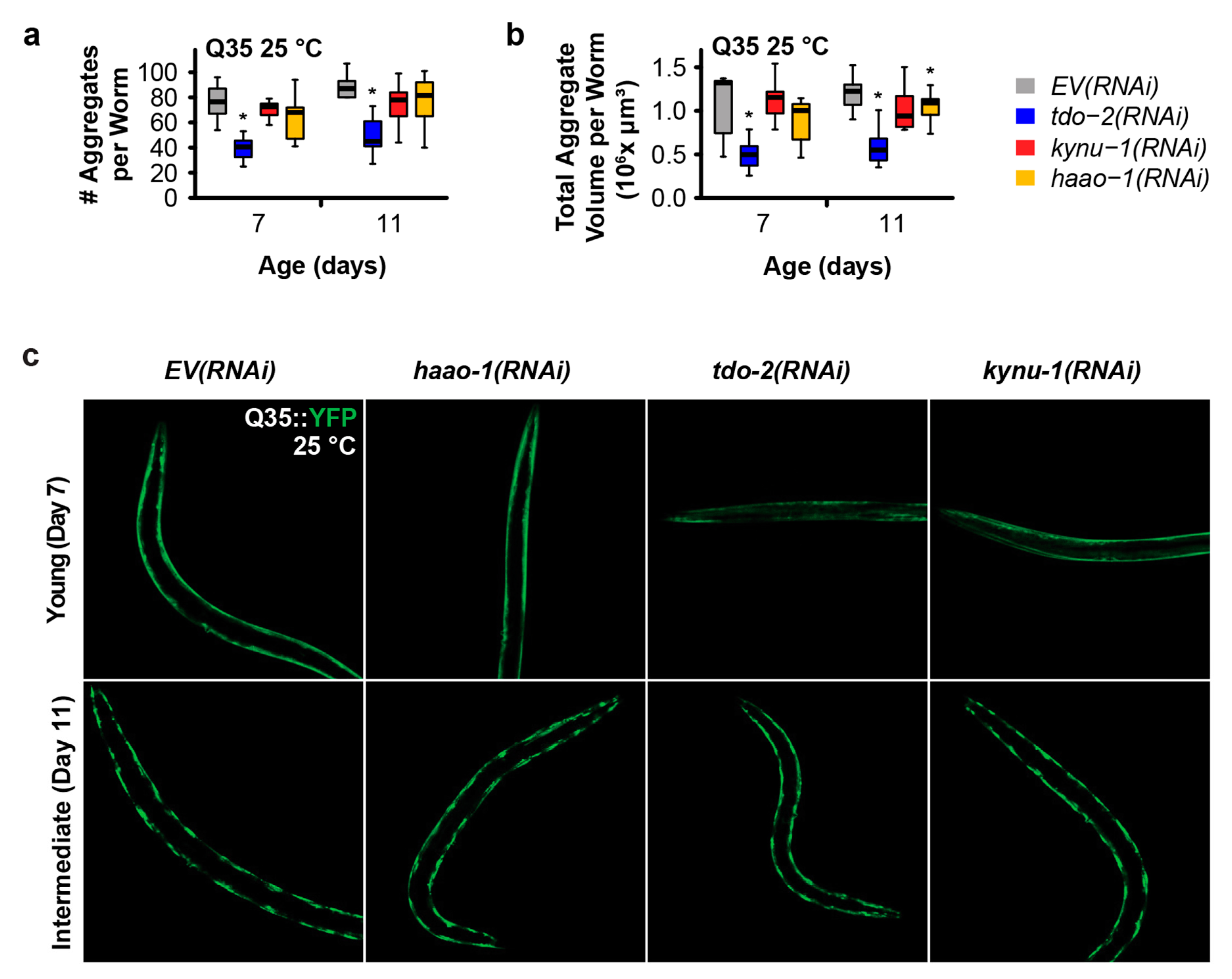 Preprints 105360 g003