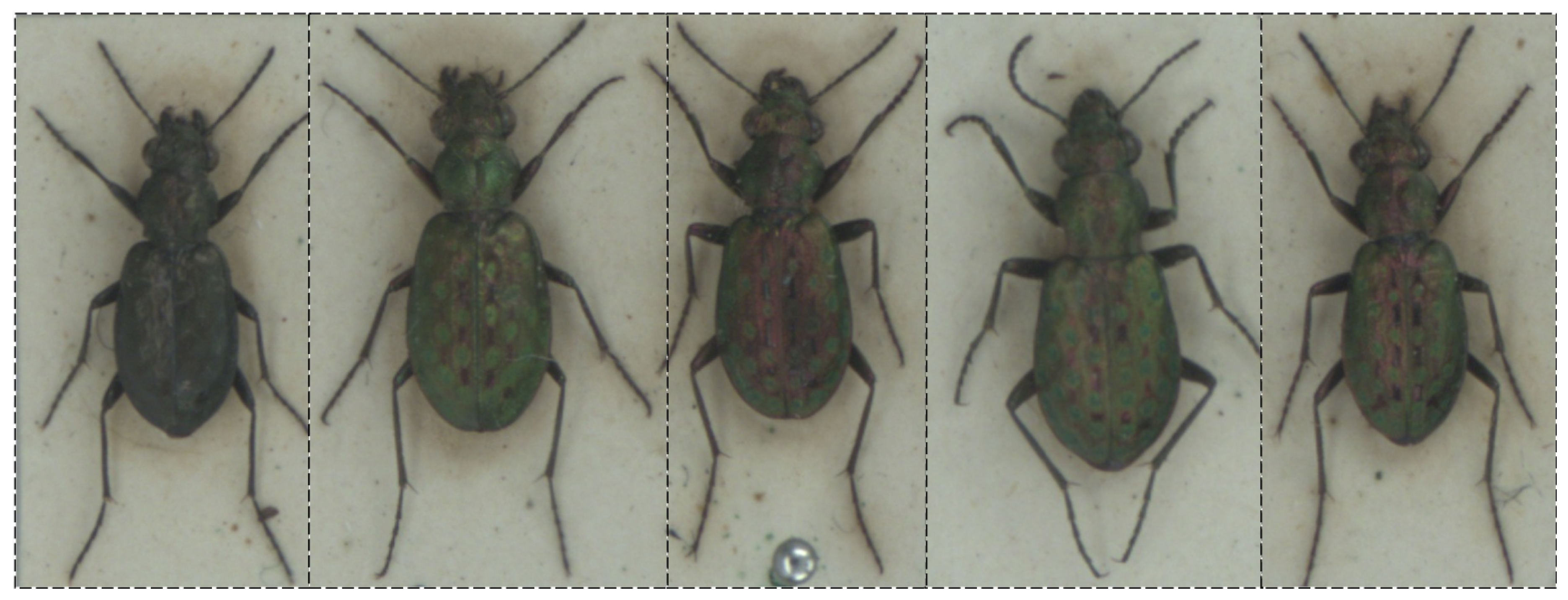 Preprints 168781 g0a3