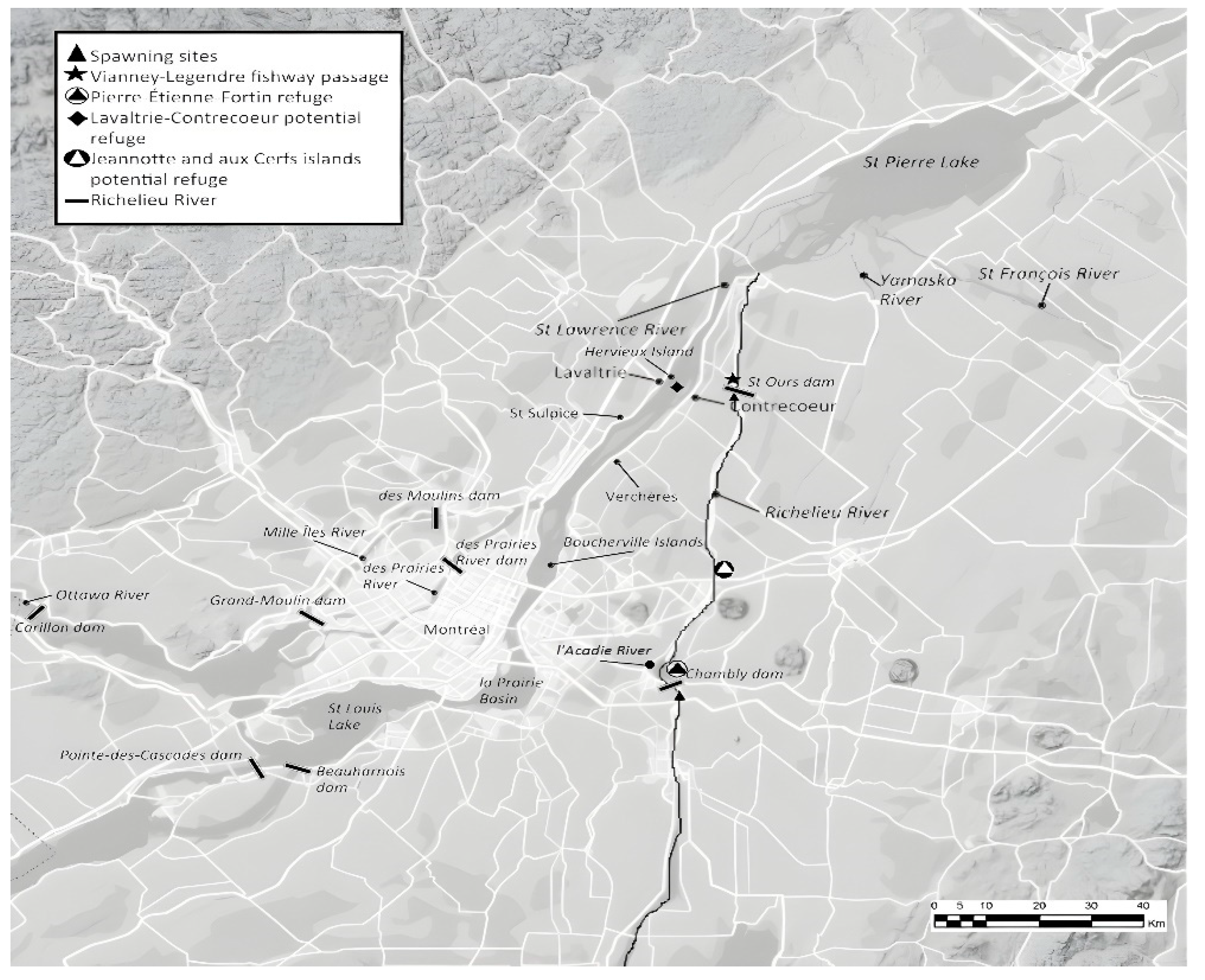 Preprints 155134 g003
