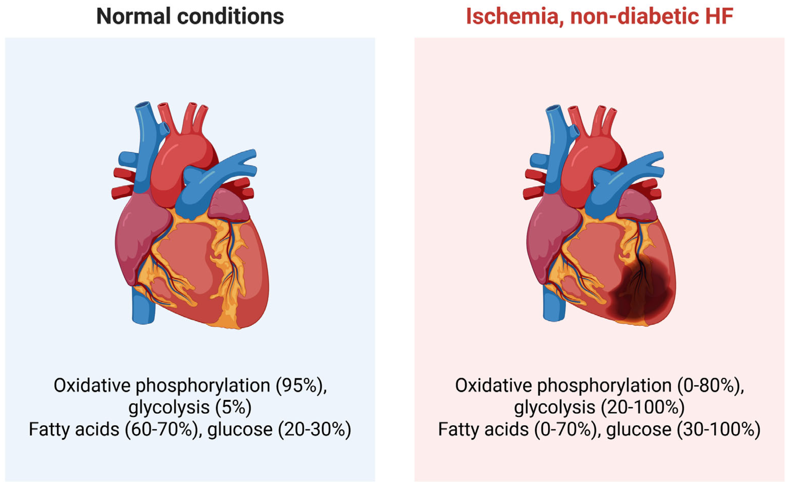 Preprints 175371 g002