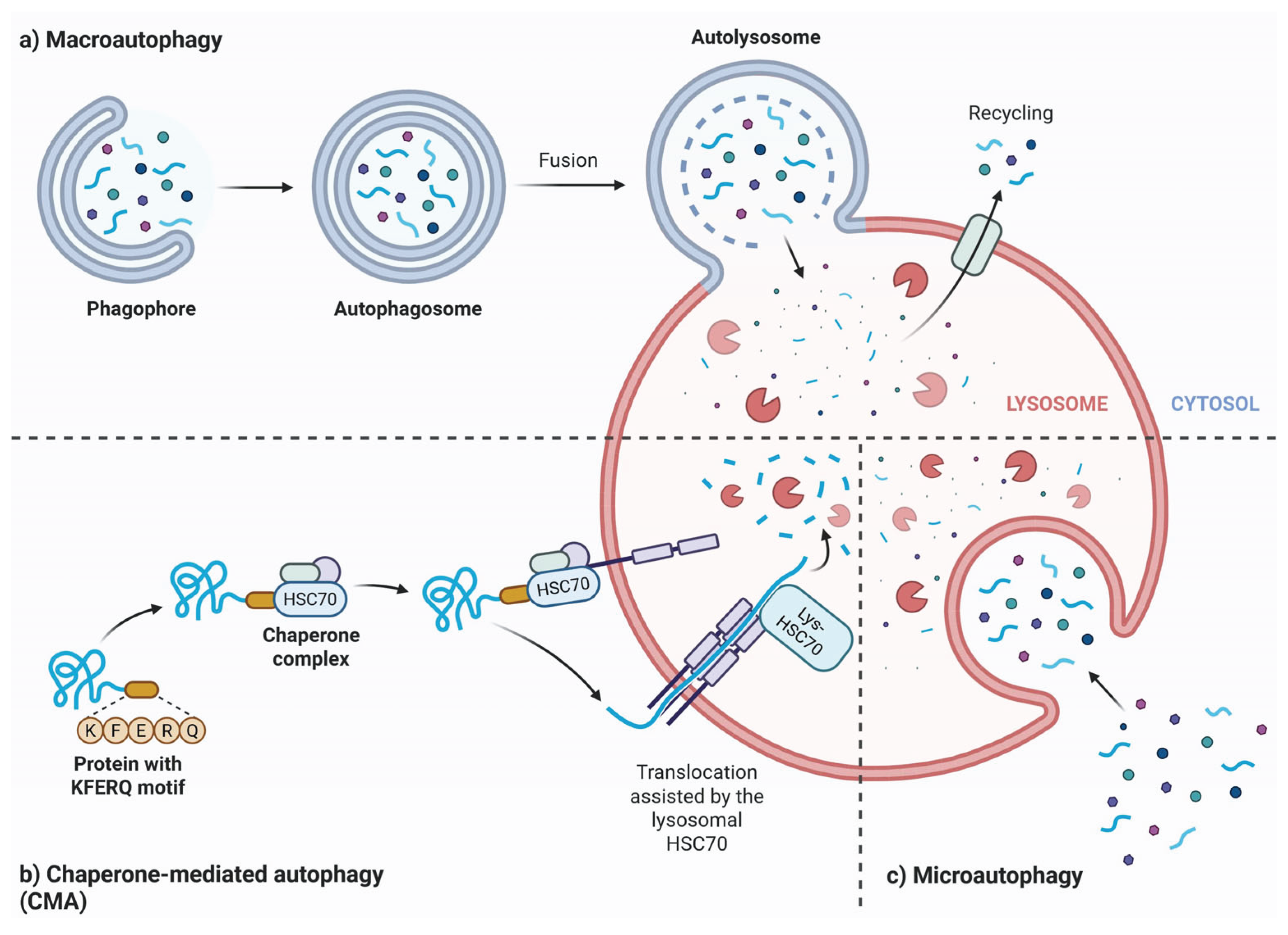 Preprints 175371 g004