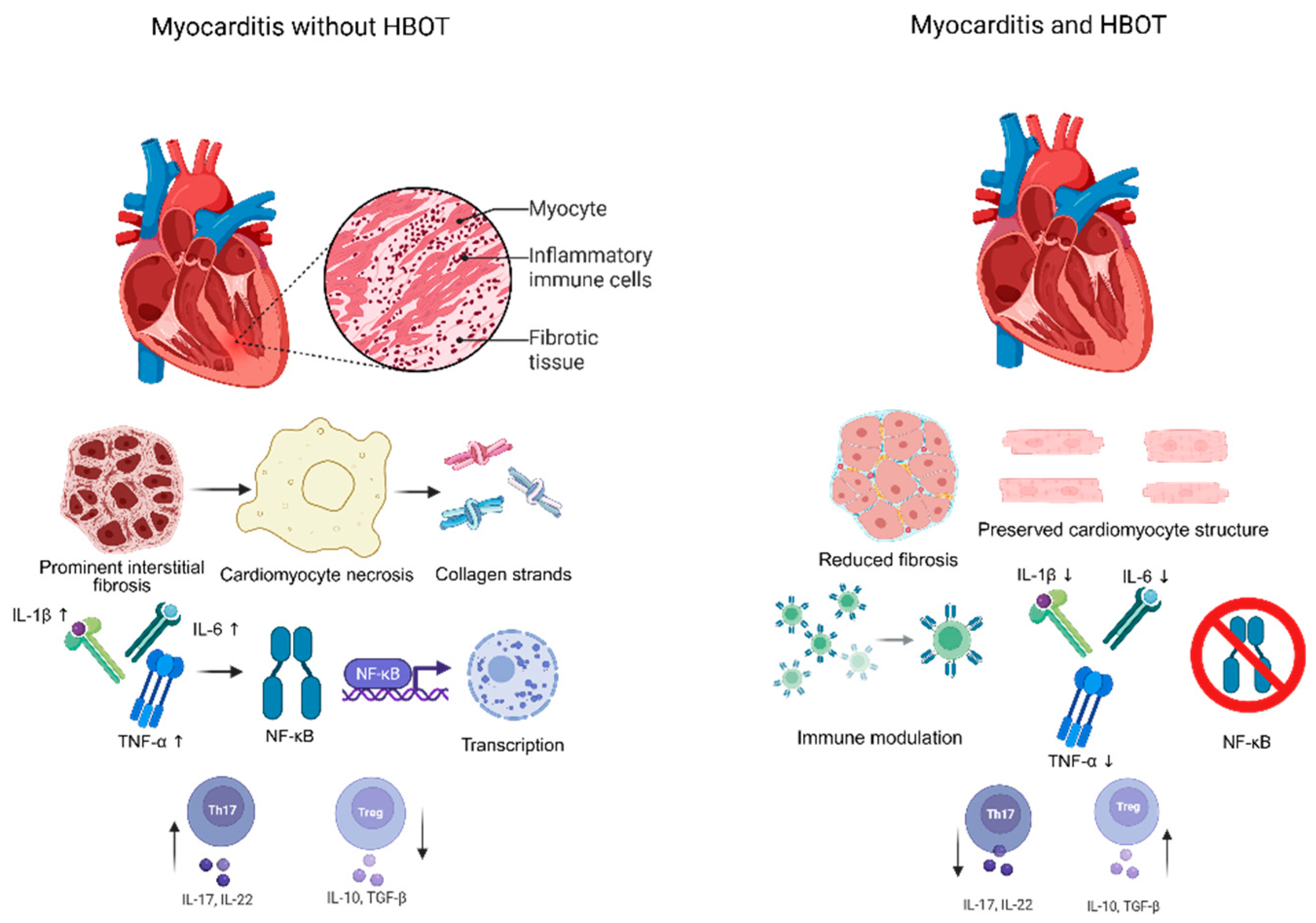 Preprints 190867 g001