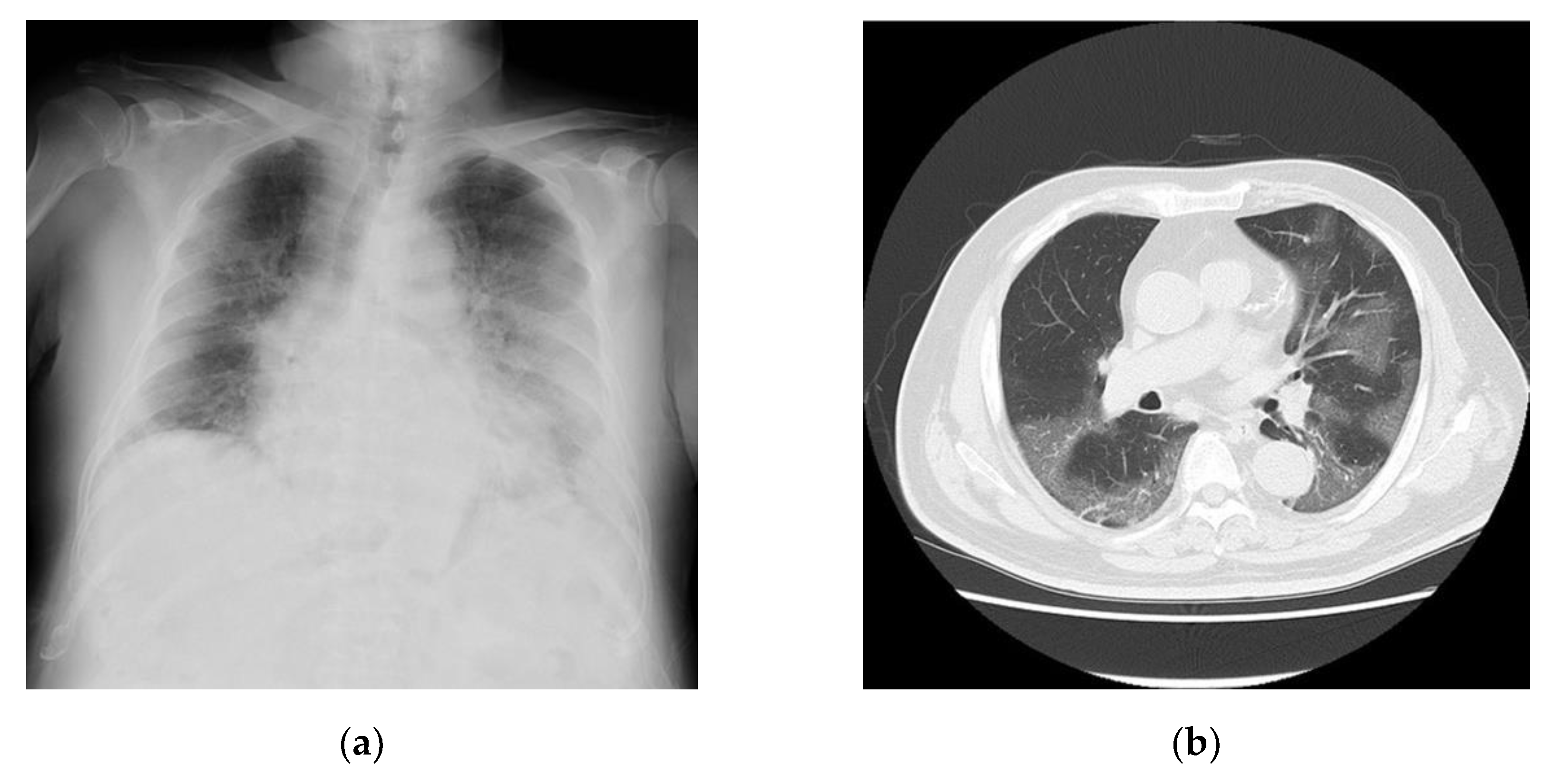 Preprints 101244 g002