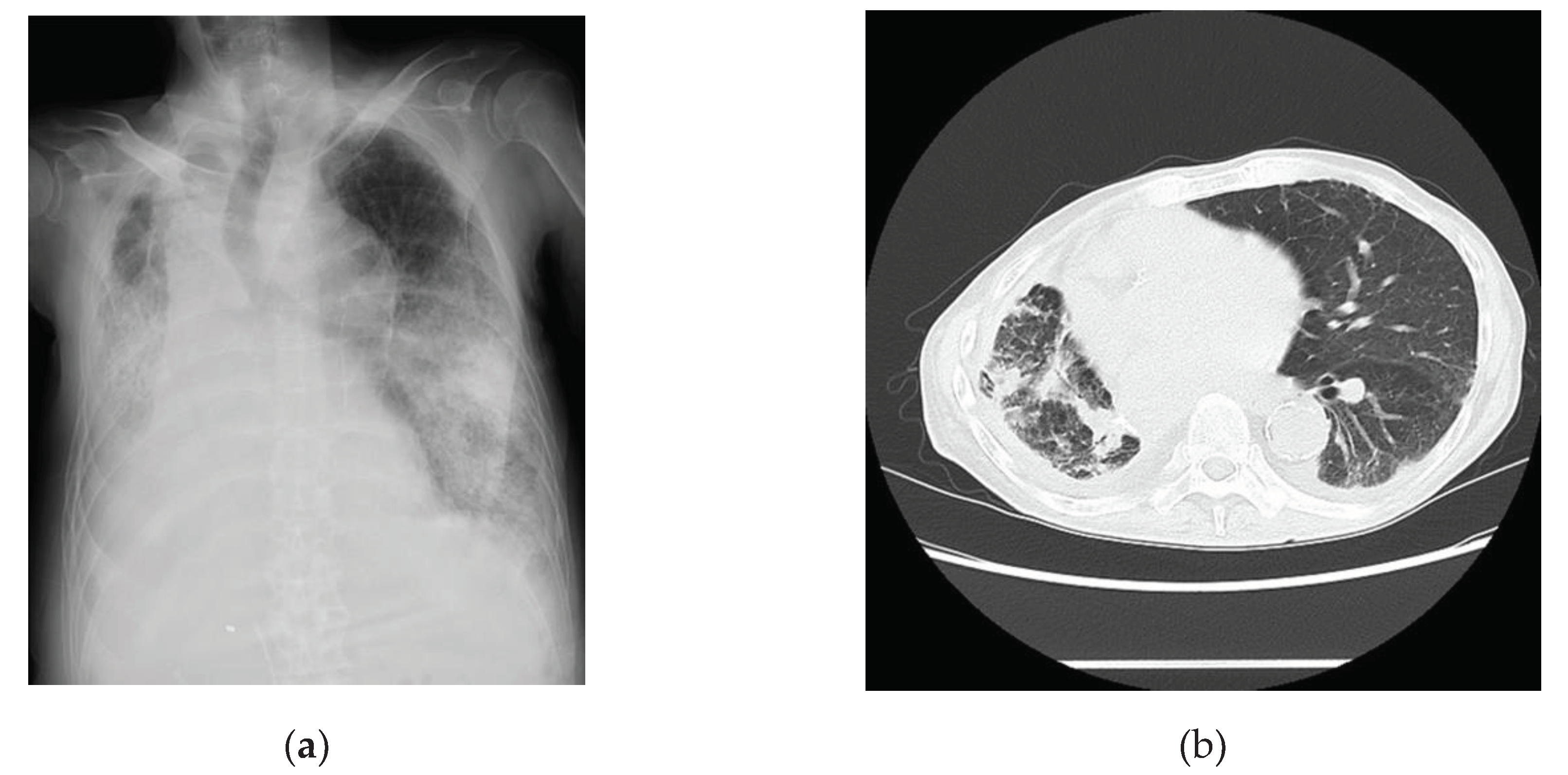 Preprints 101244 g003
