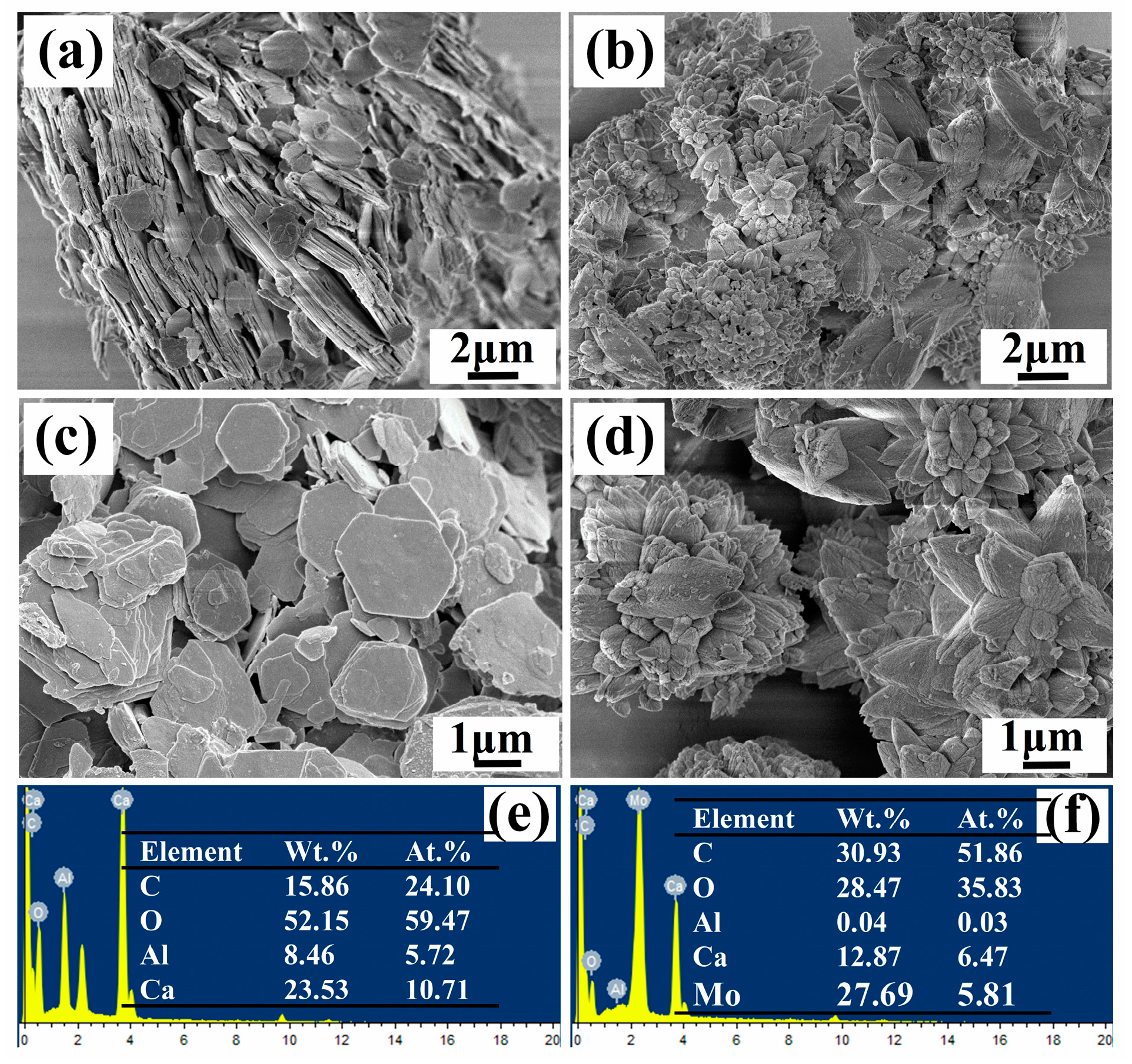 Preprints 75912 g003