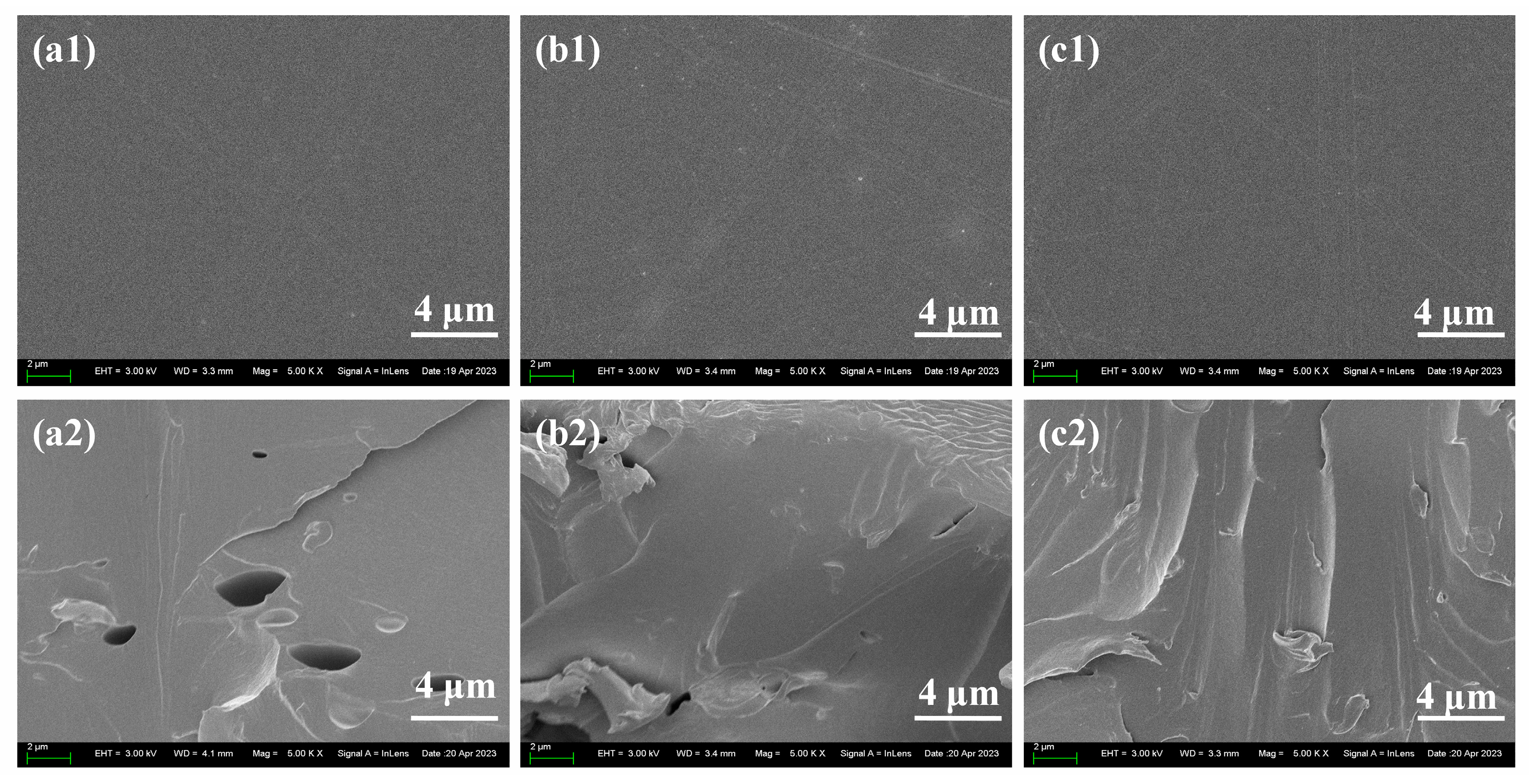 Preprints 75912 g009