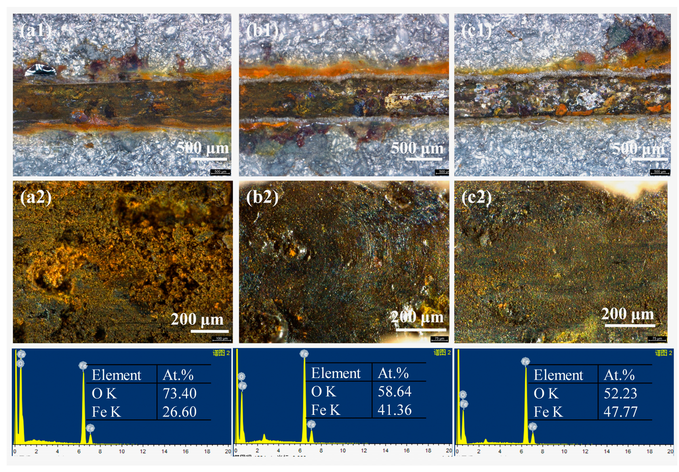 Preprints 75912 g011