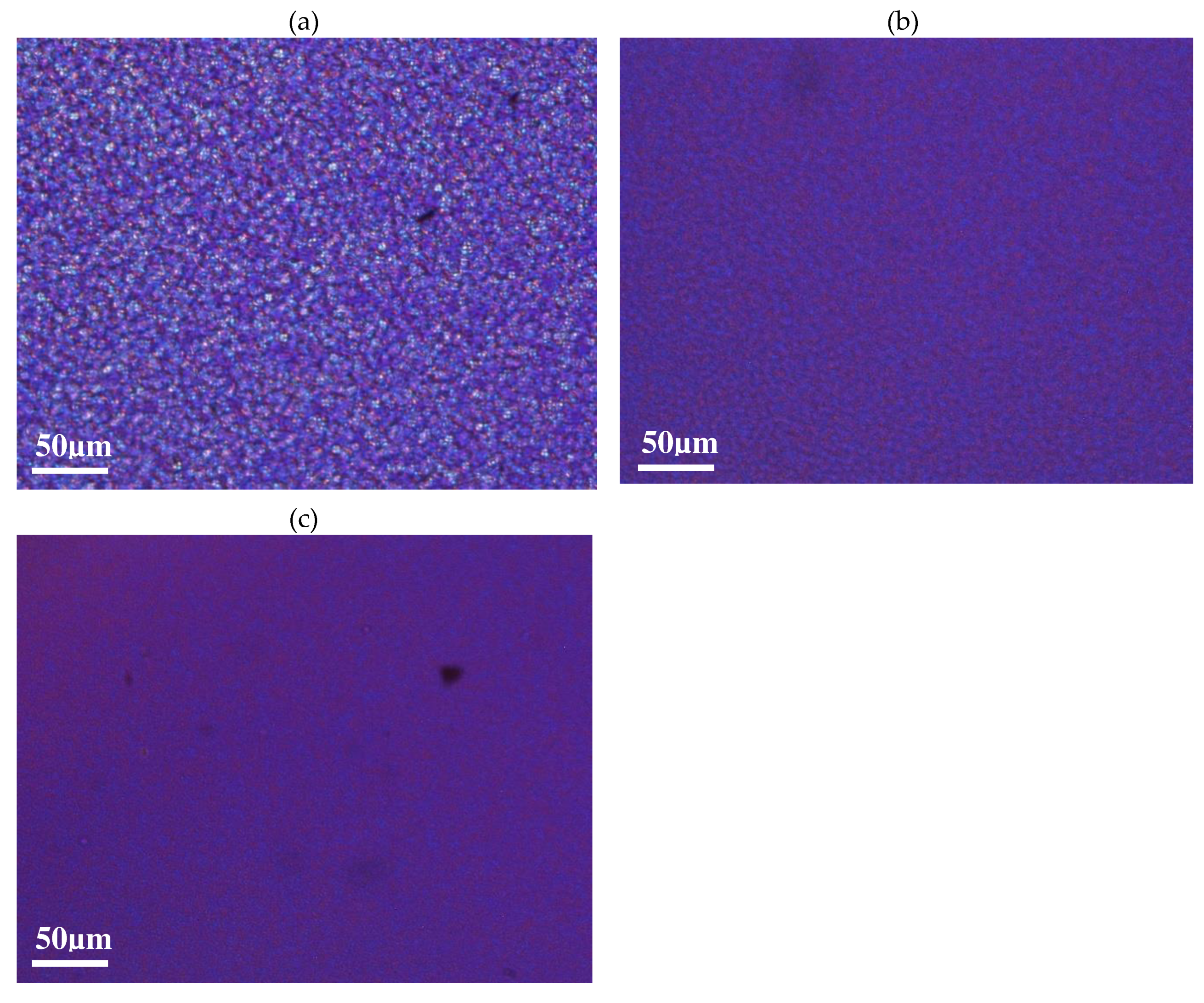 Preprints 78171 g002