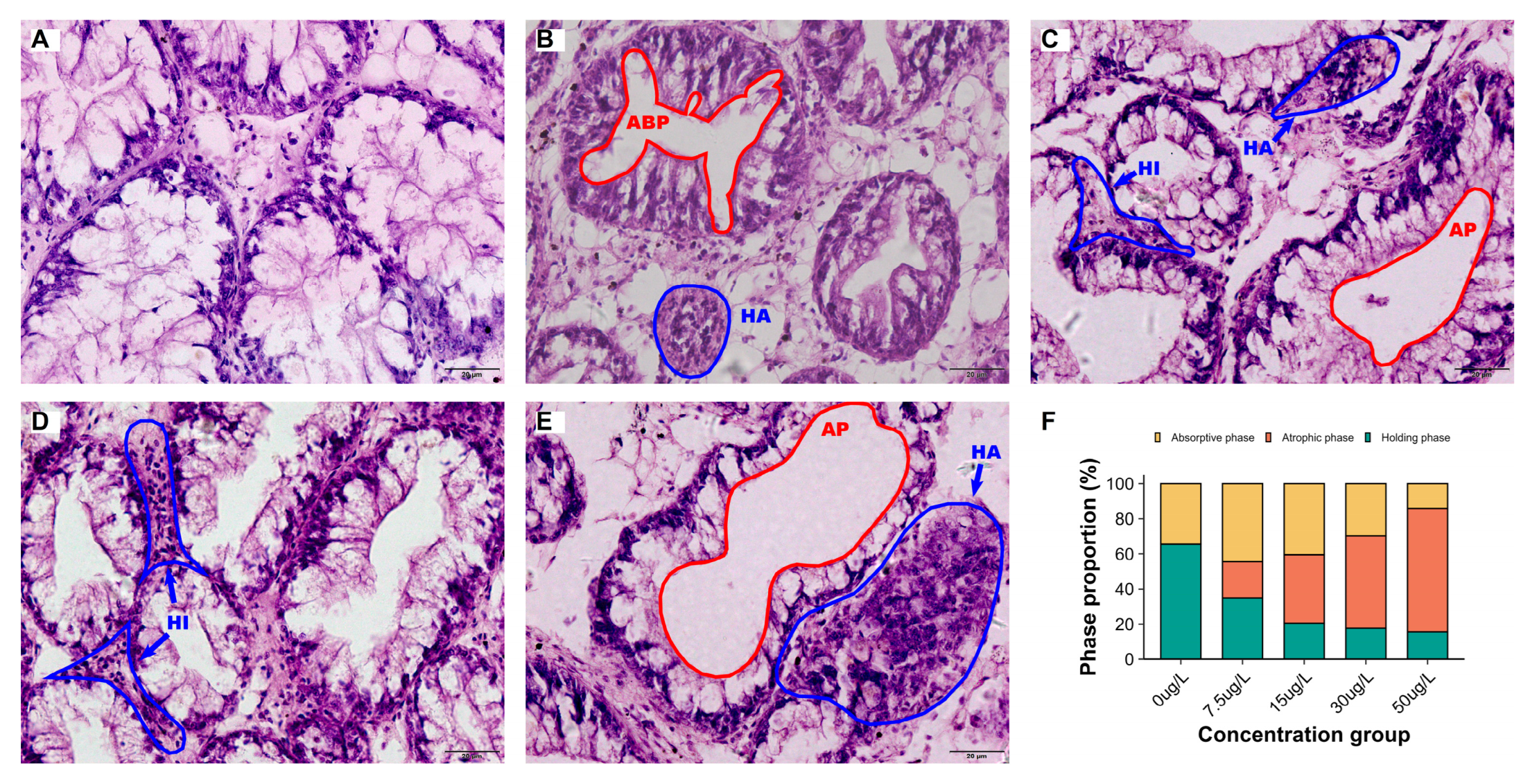 Preprints 186868 g002