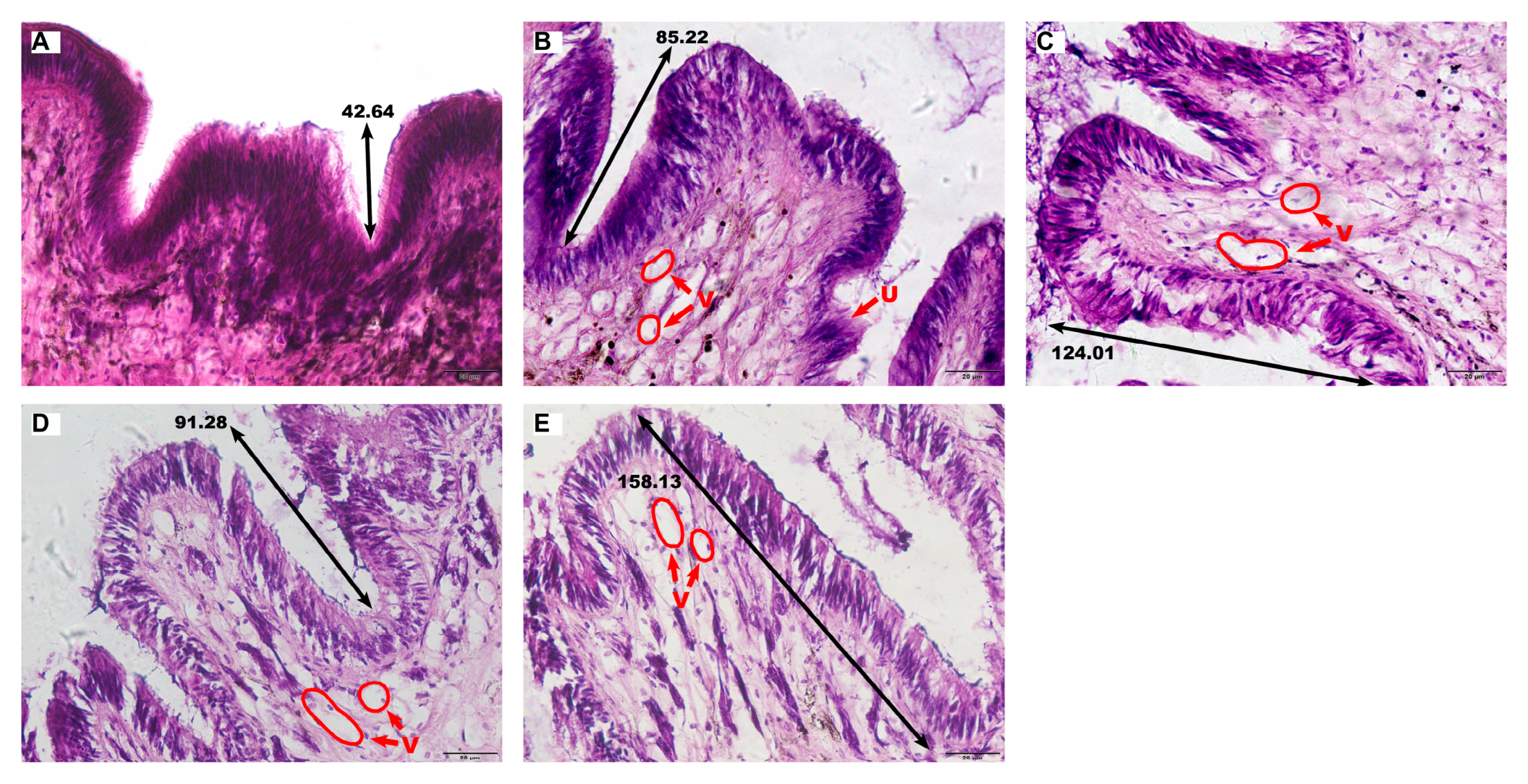 Preprints 186868 g004