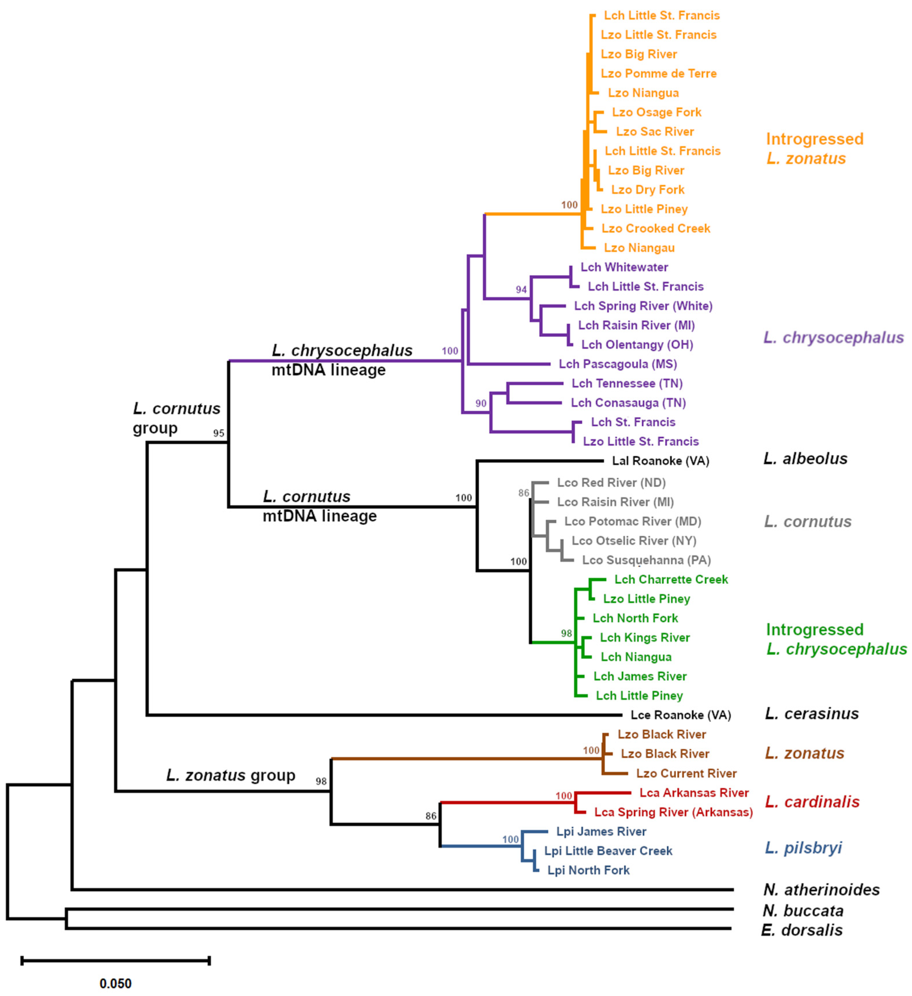 Preprints 170493 g001