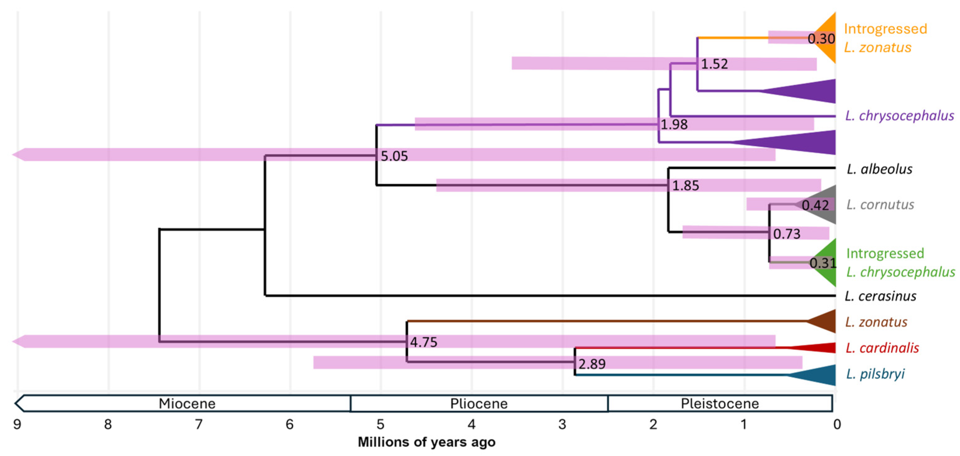 Preprints 170493 g003