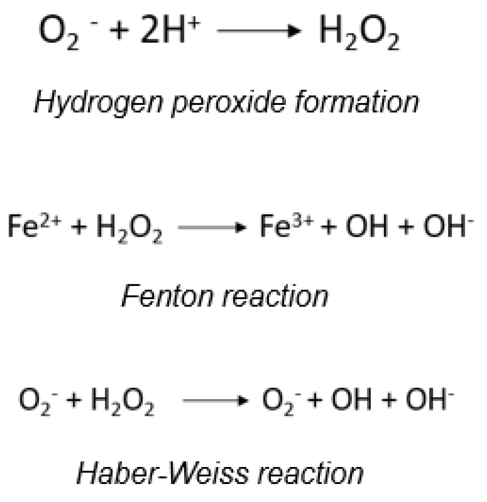 Preprints 177698 g001