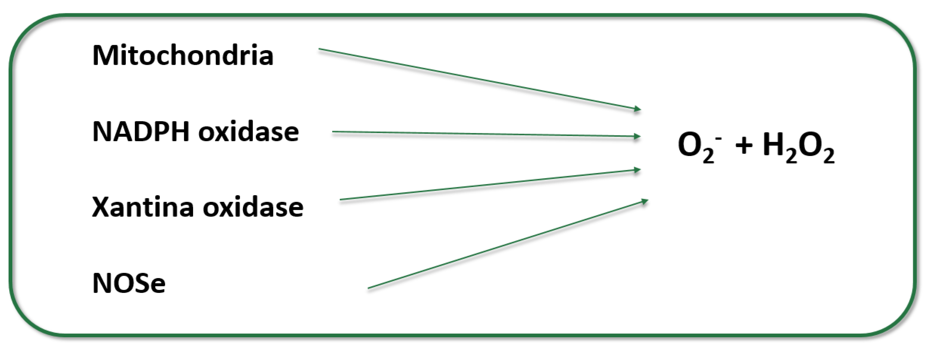 Preprints 177698 g002