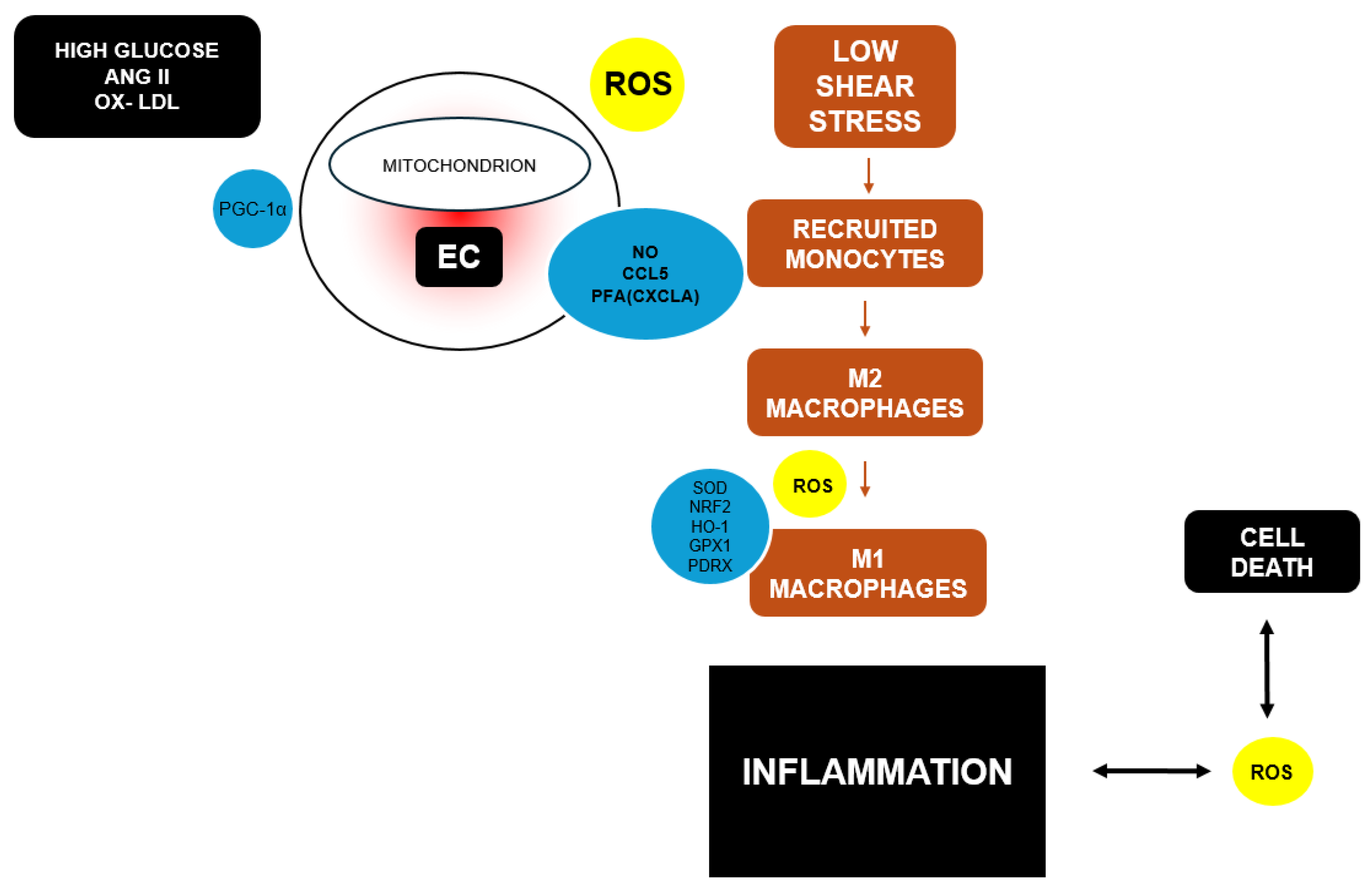 Preprints 177698 g003