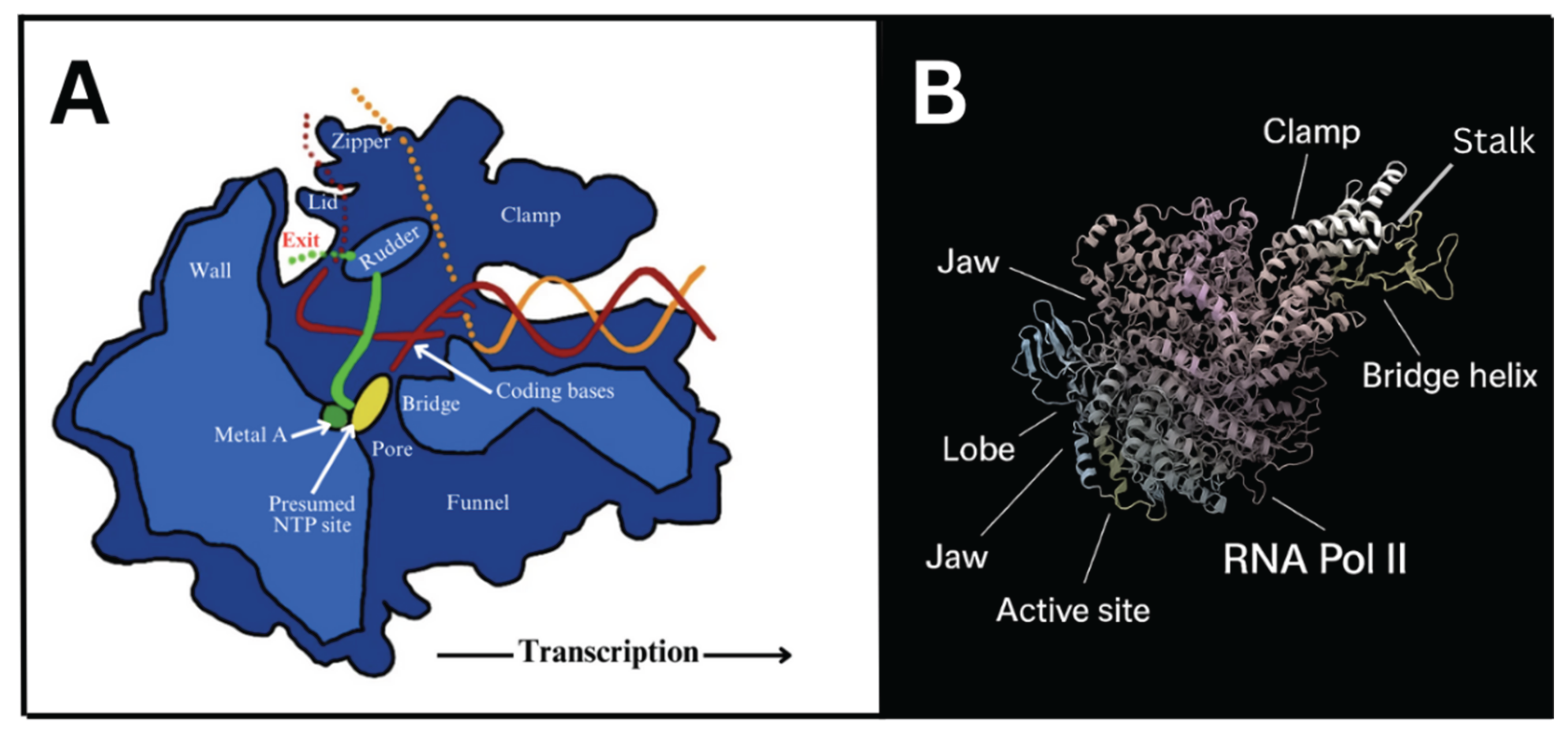 Preprints 171132 g001