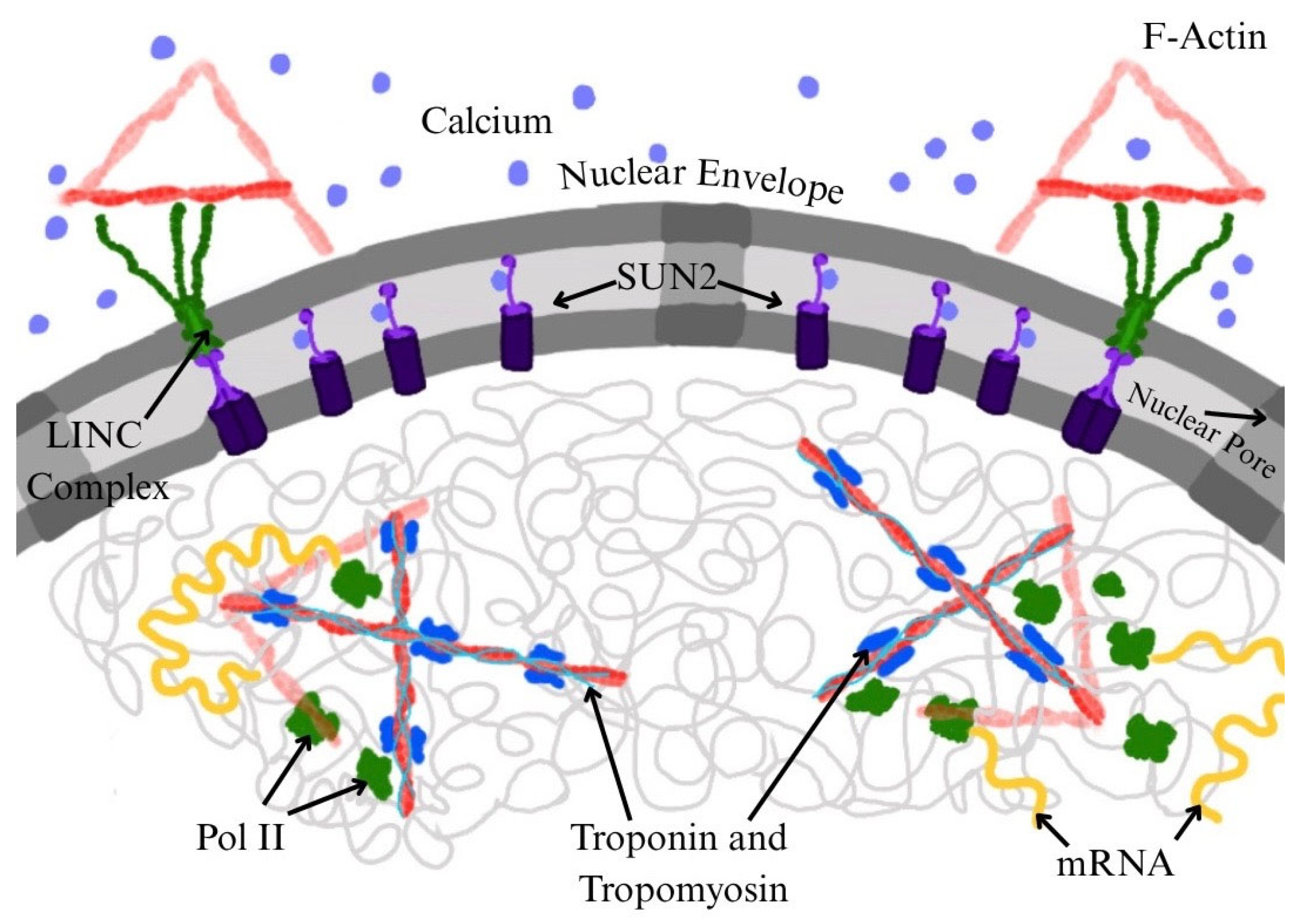 Preprints 171132 g003