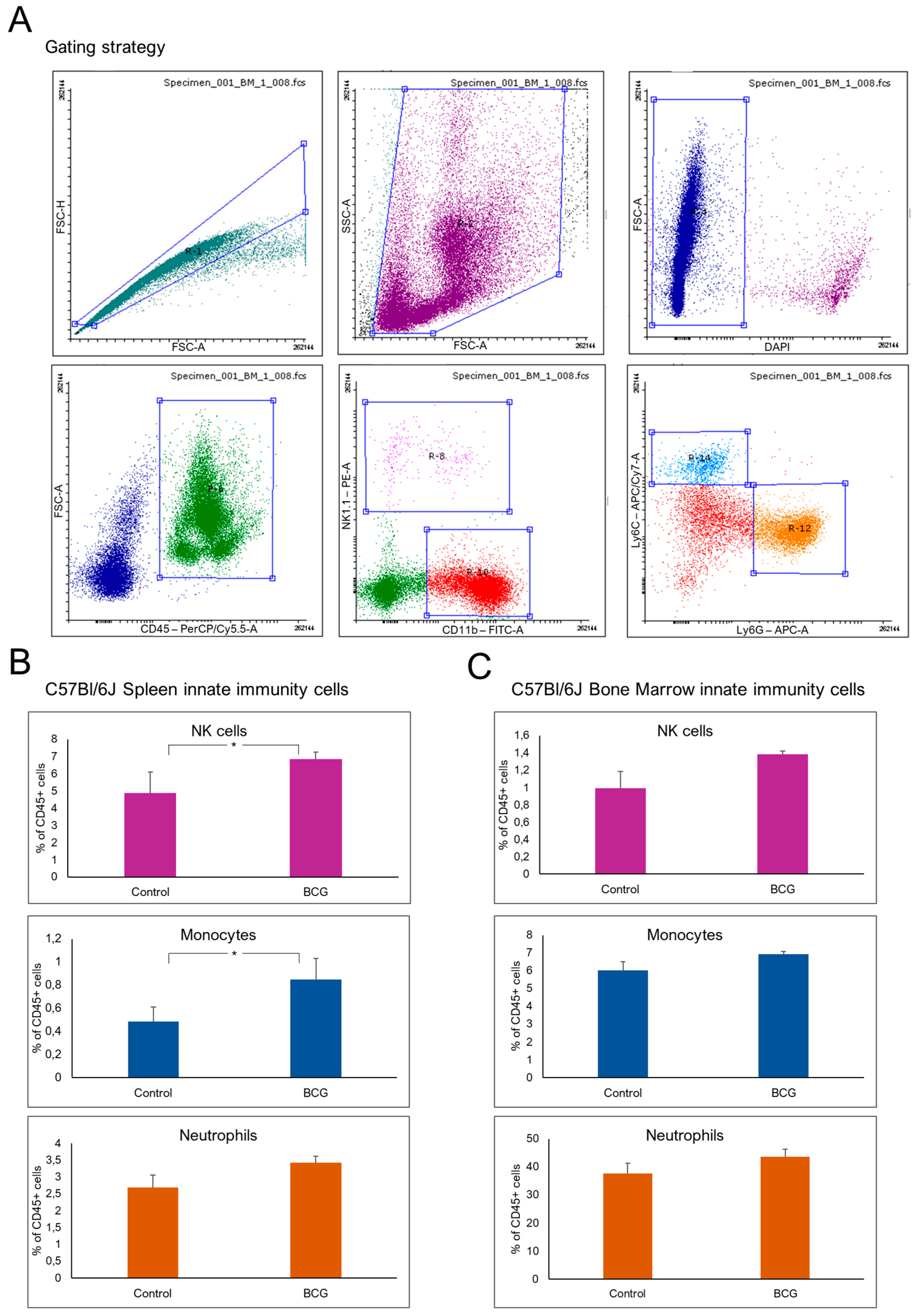 Preprints 138157 g002