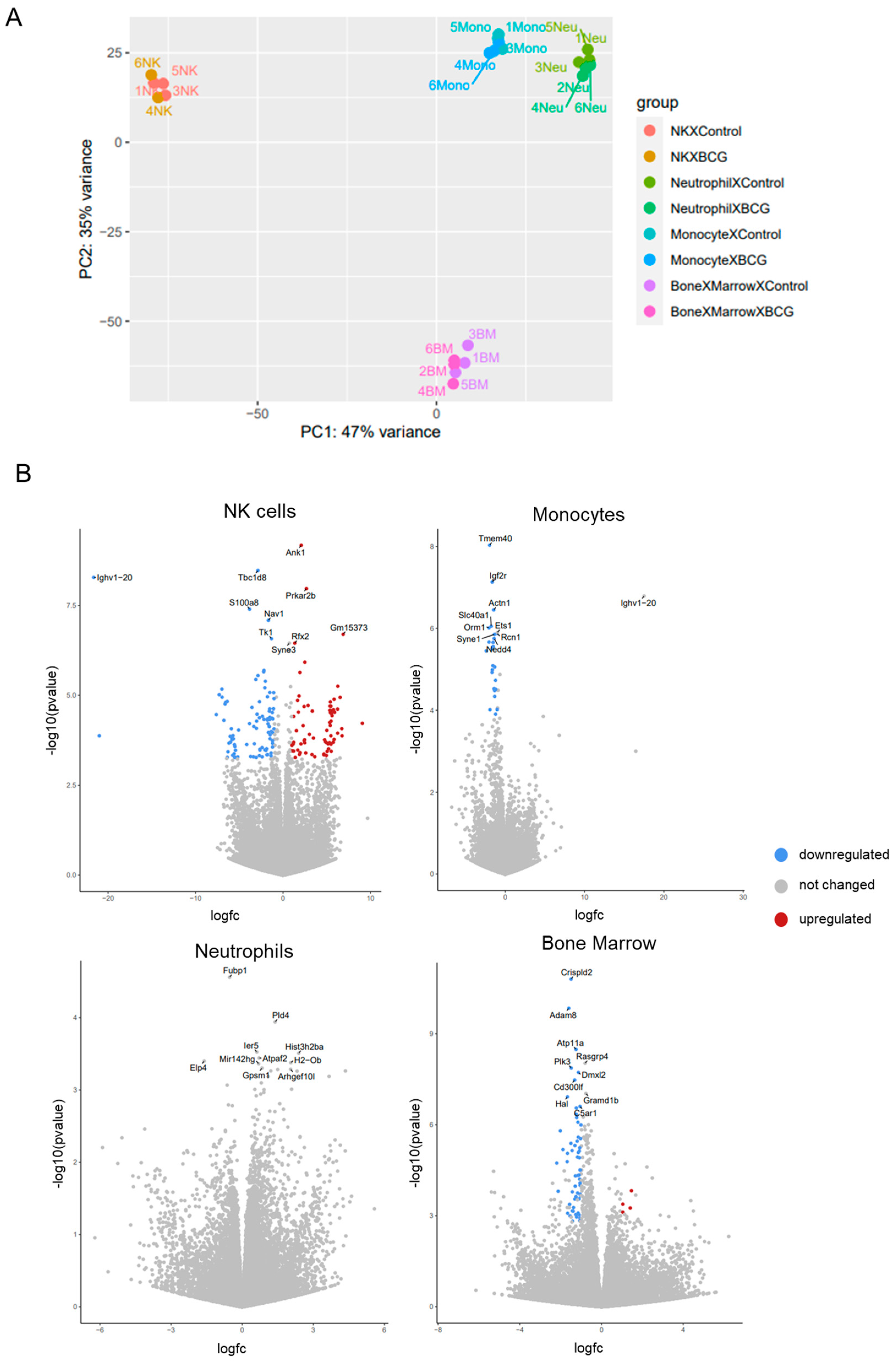 Preprints 138157 g003