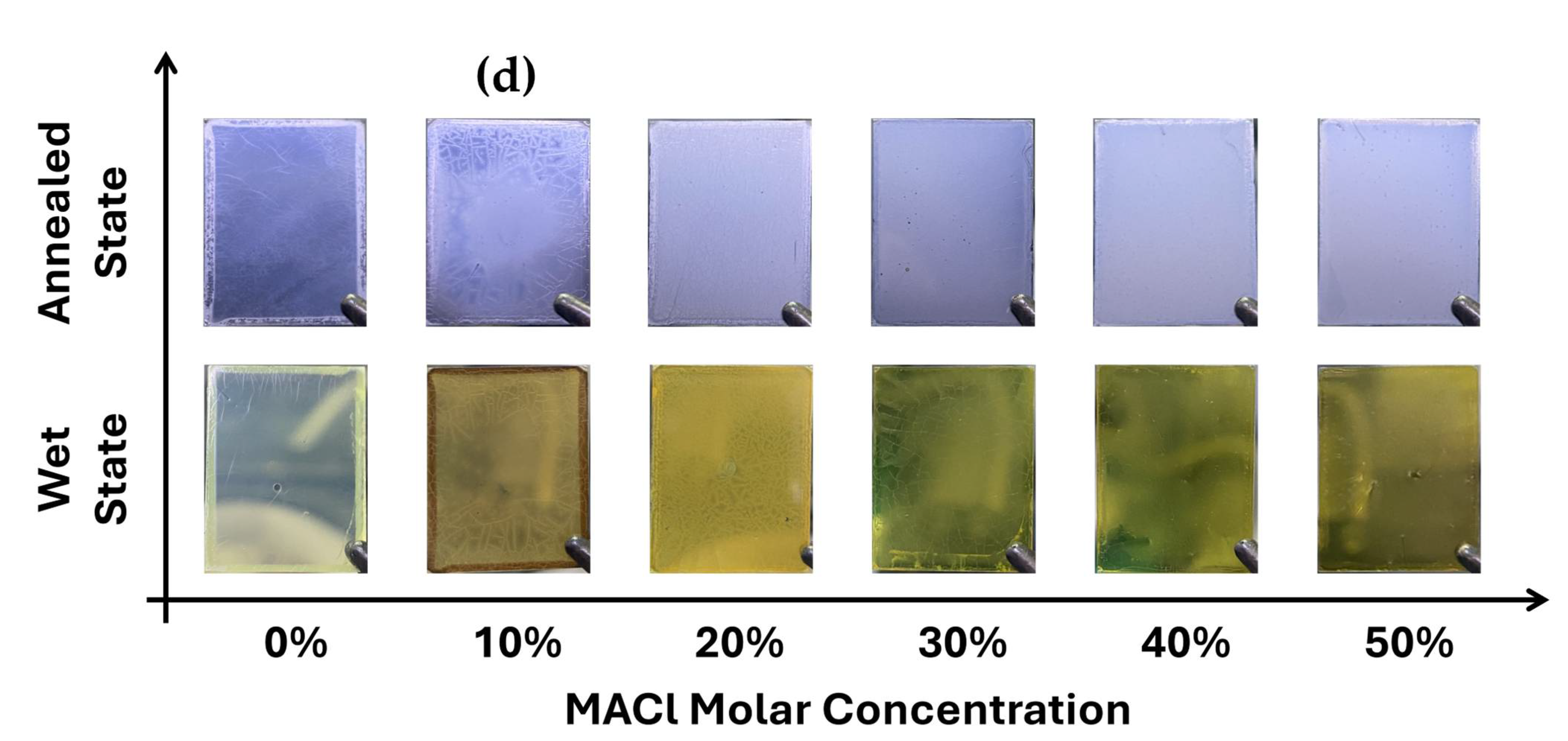 Preprints 156425 g001b