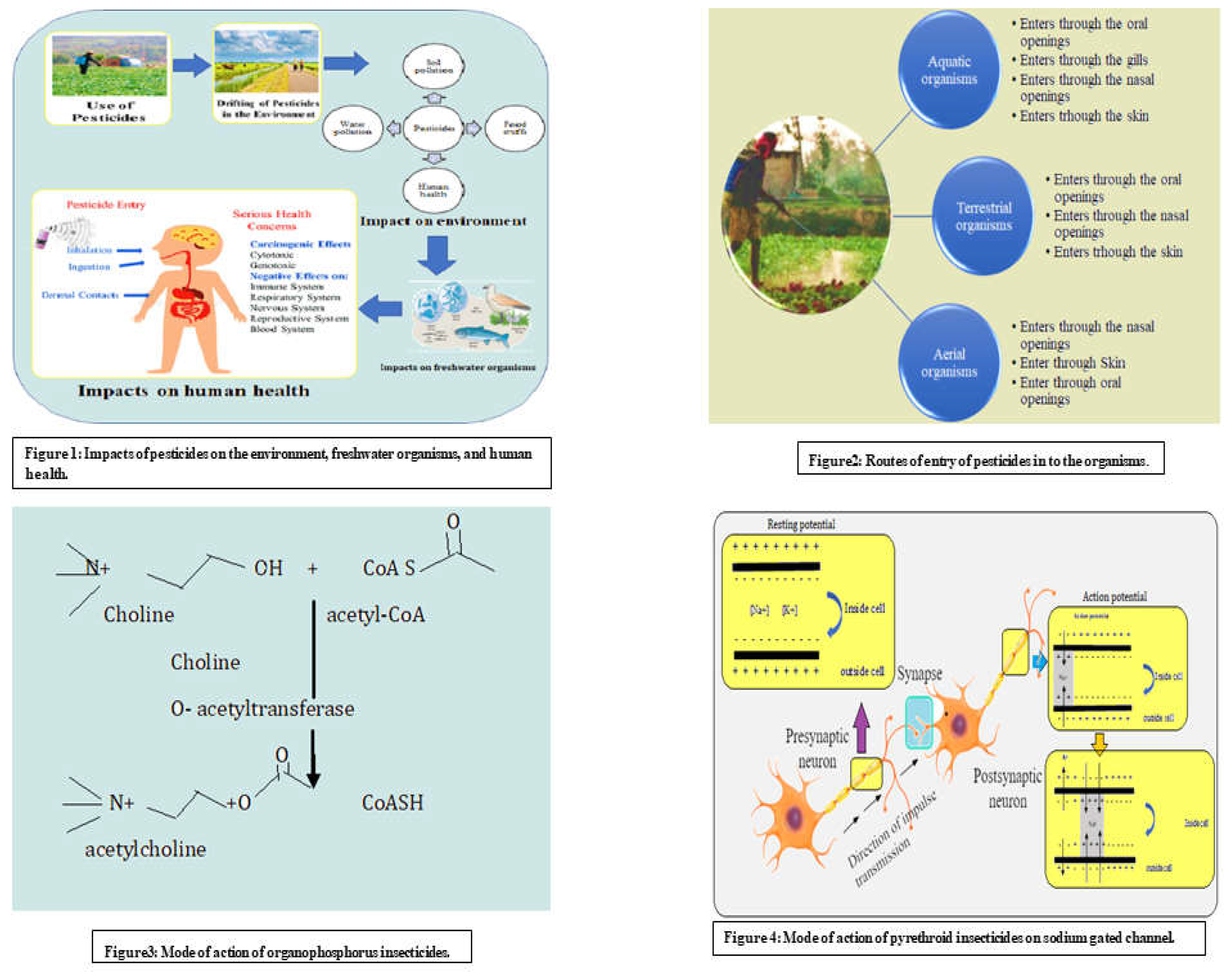 Preprints 111030 i001