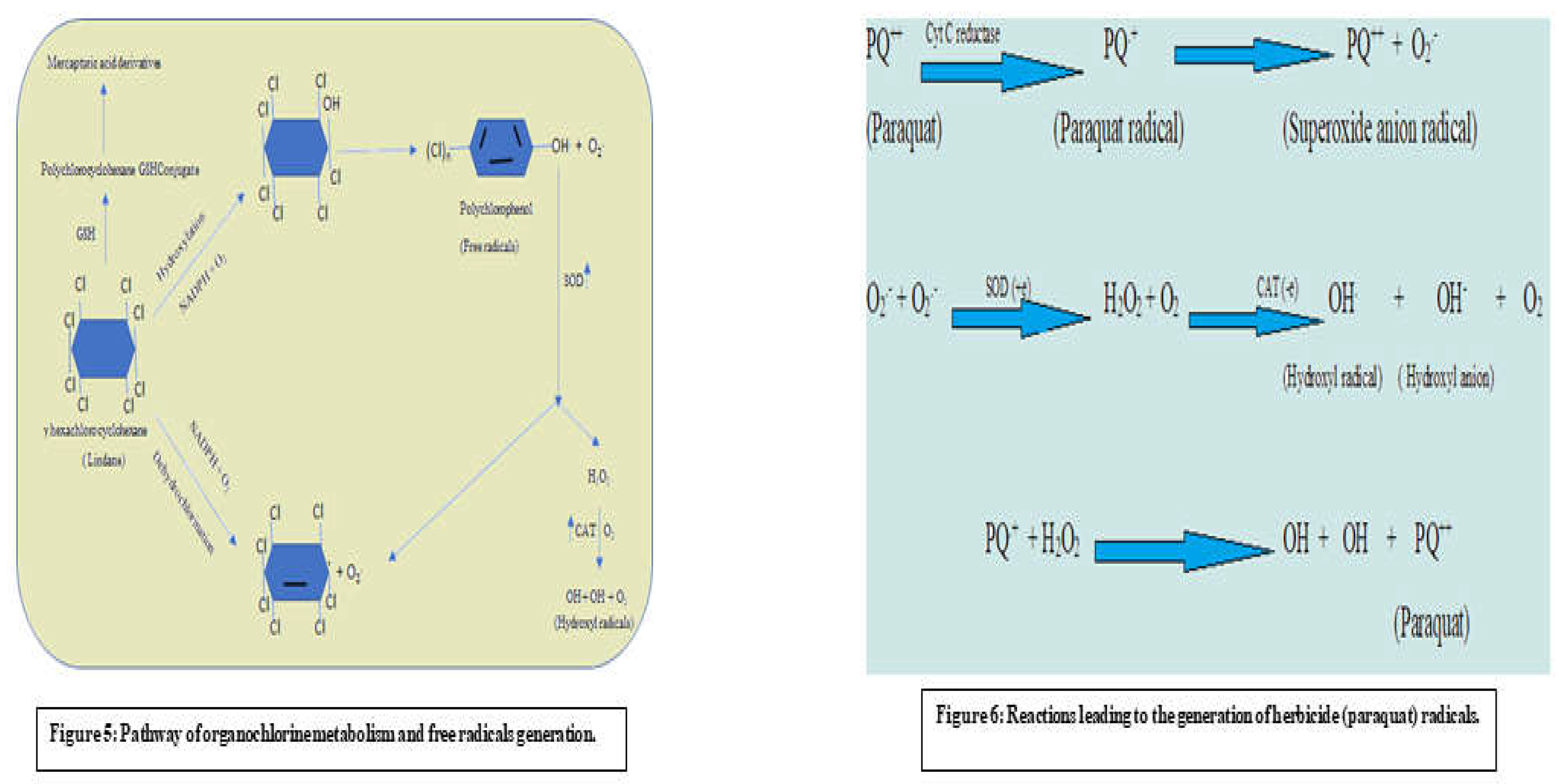 Preprints 111030 i002