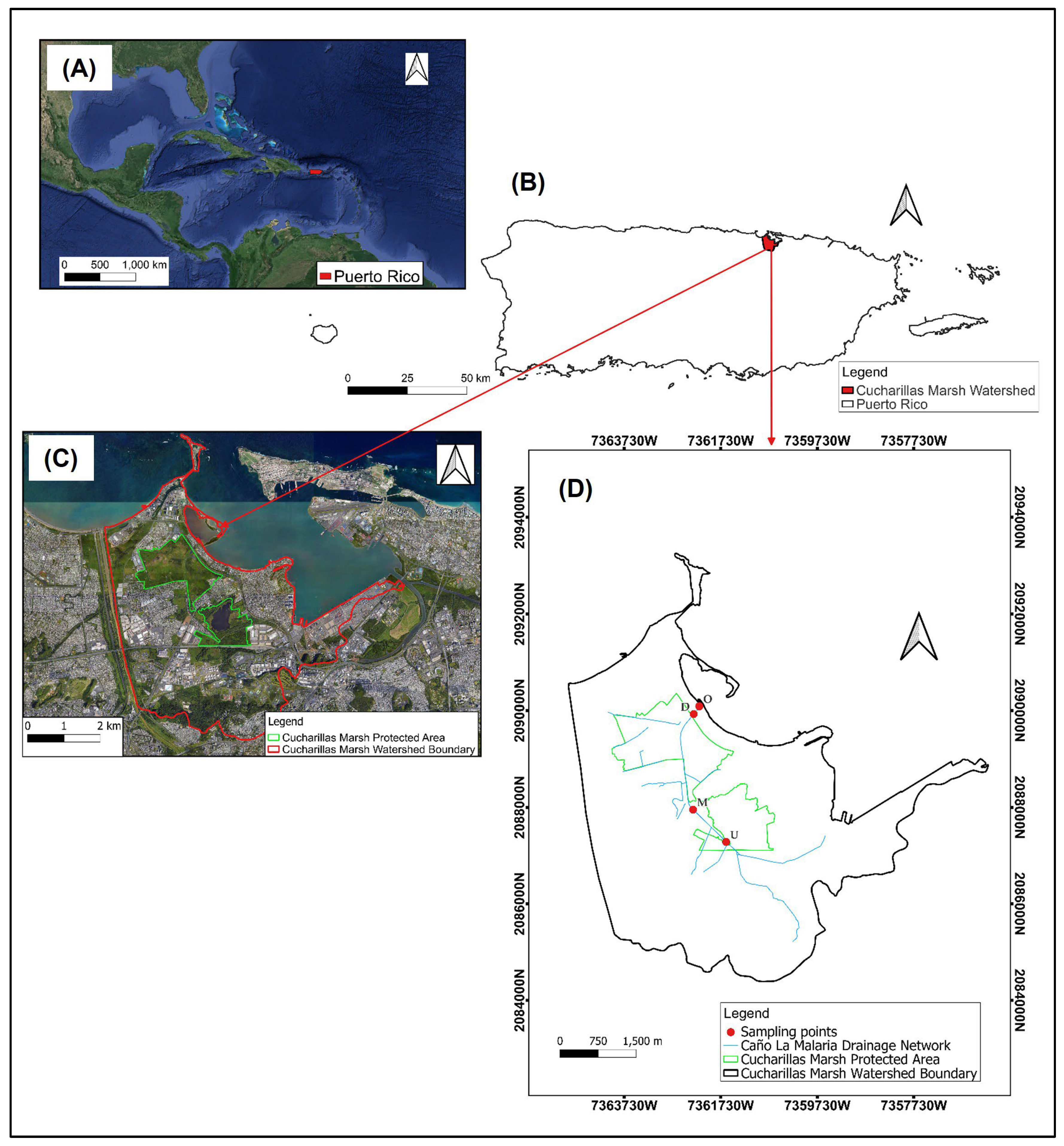 Preprints 175320 g001