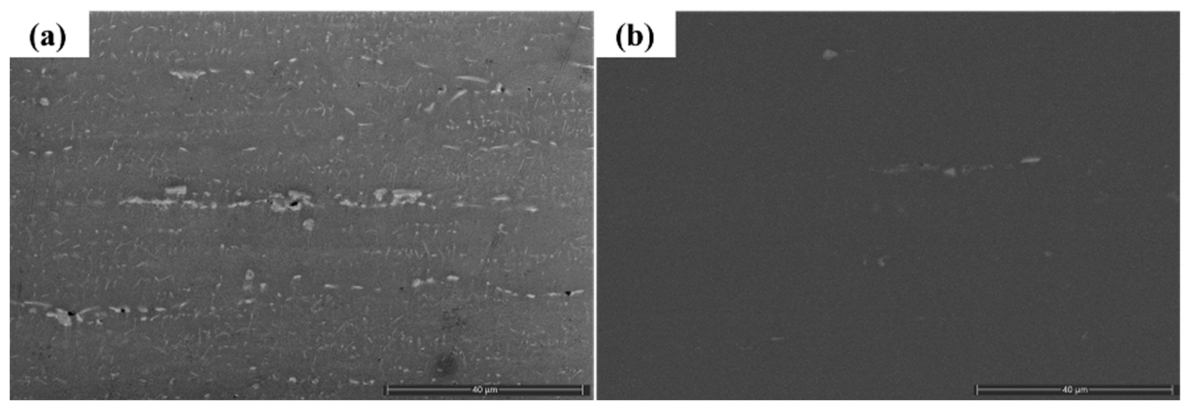 Preprints 230837 g001
