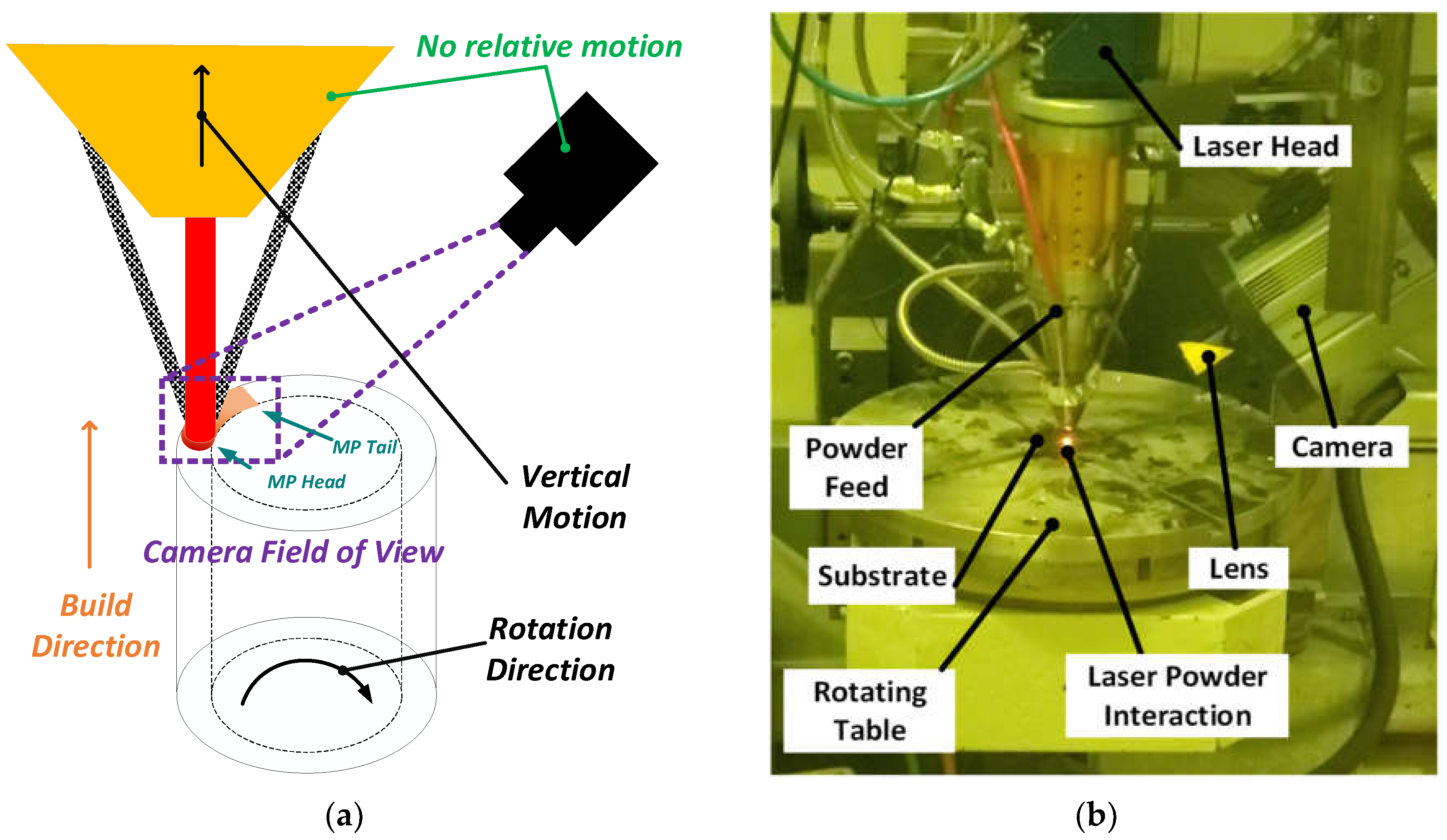 Preprints 104791 g003