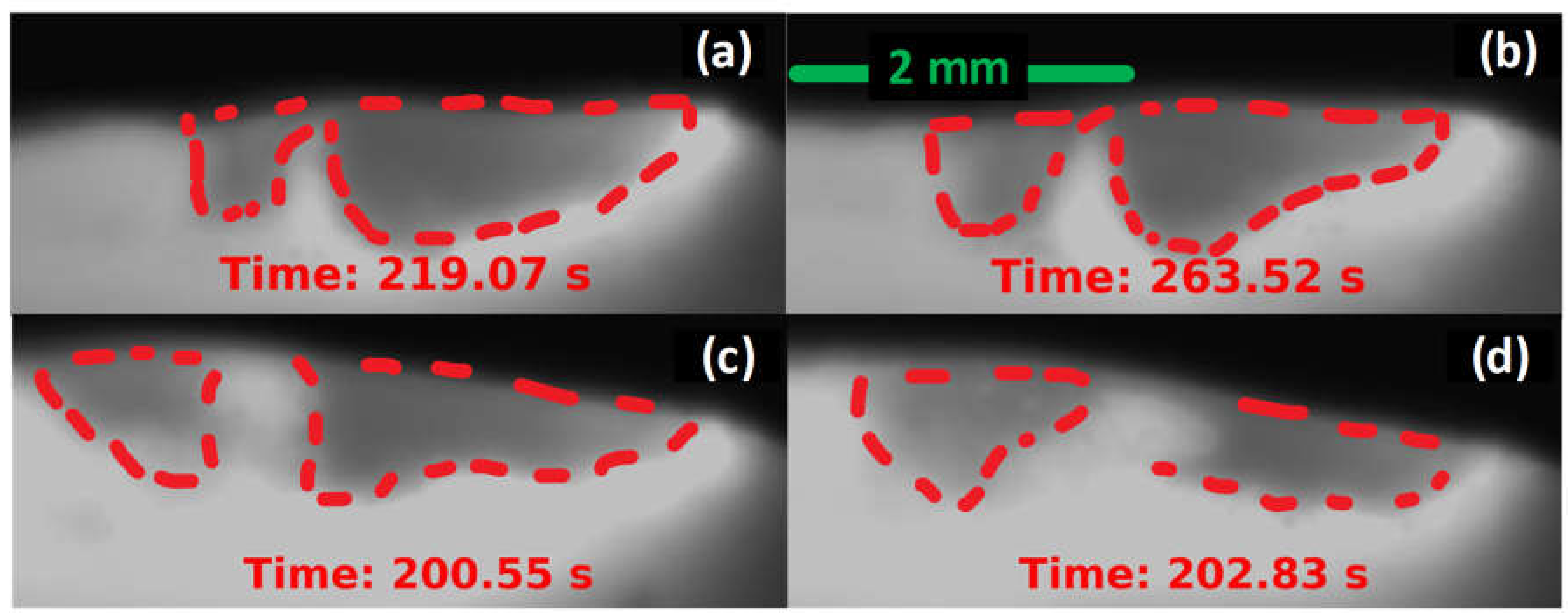 Preprints 104791 g010