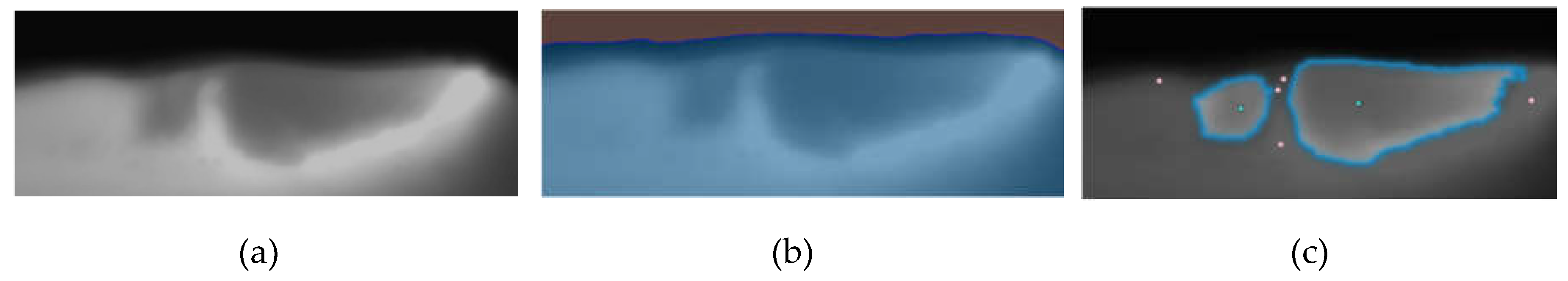 Preprints 104791 g014a